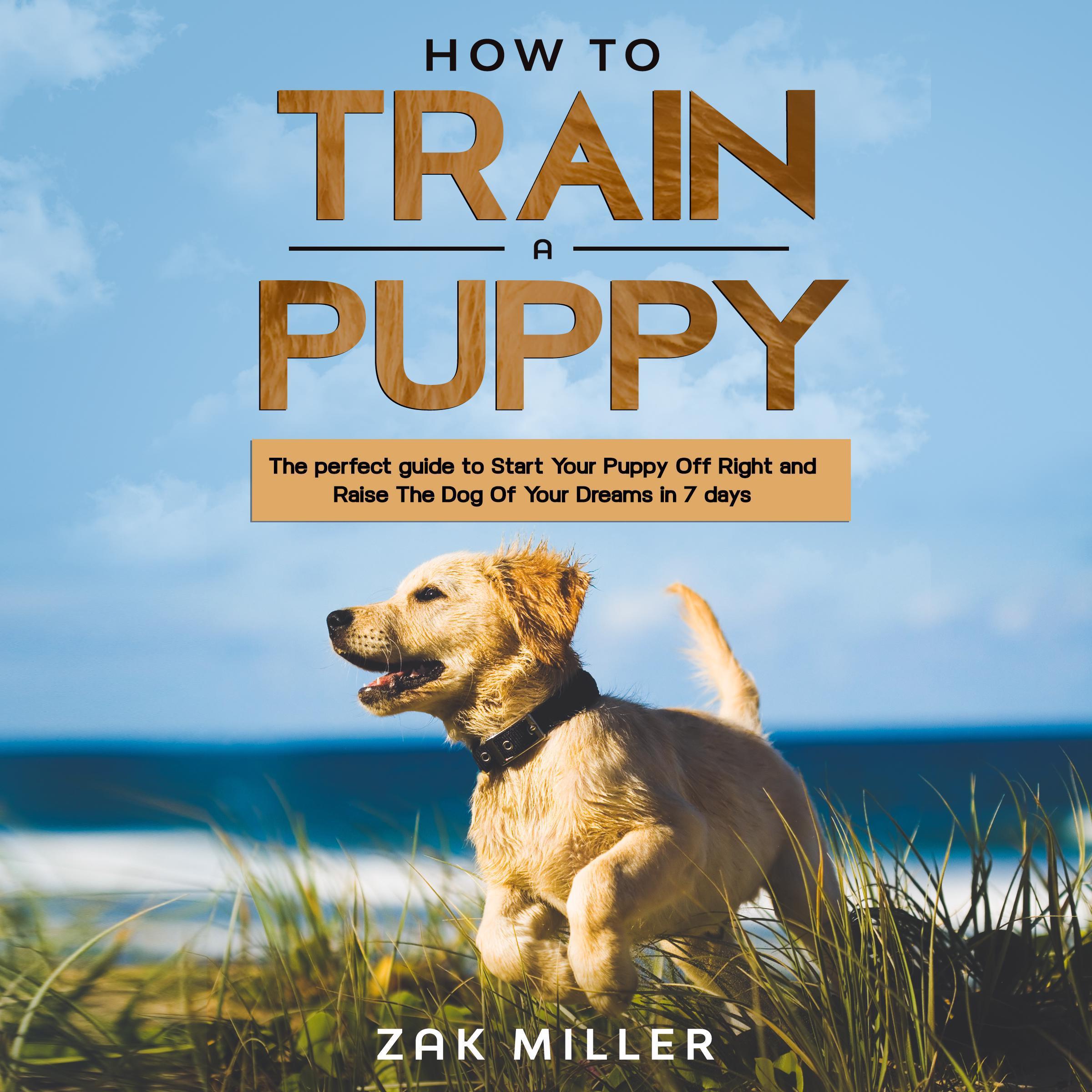 How to Train a Puppy:
