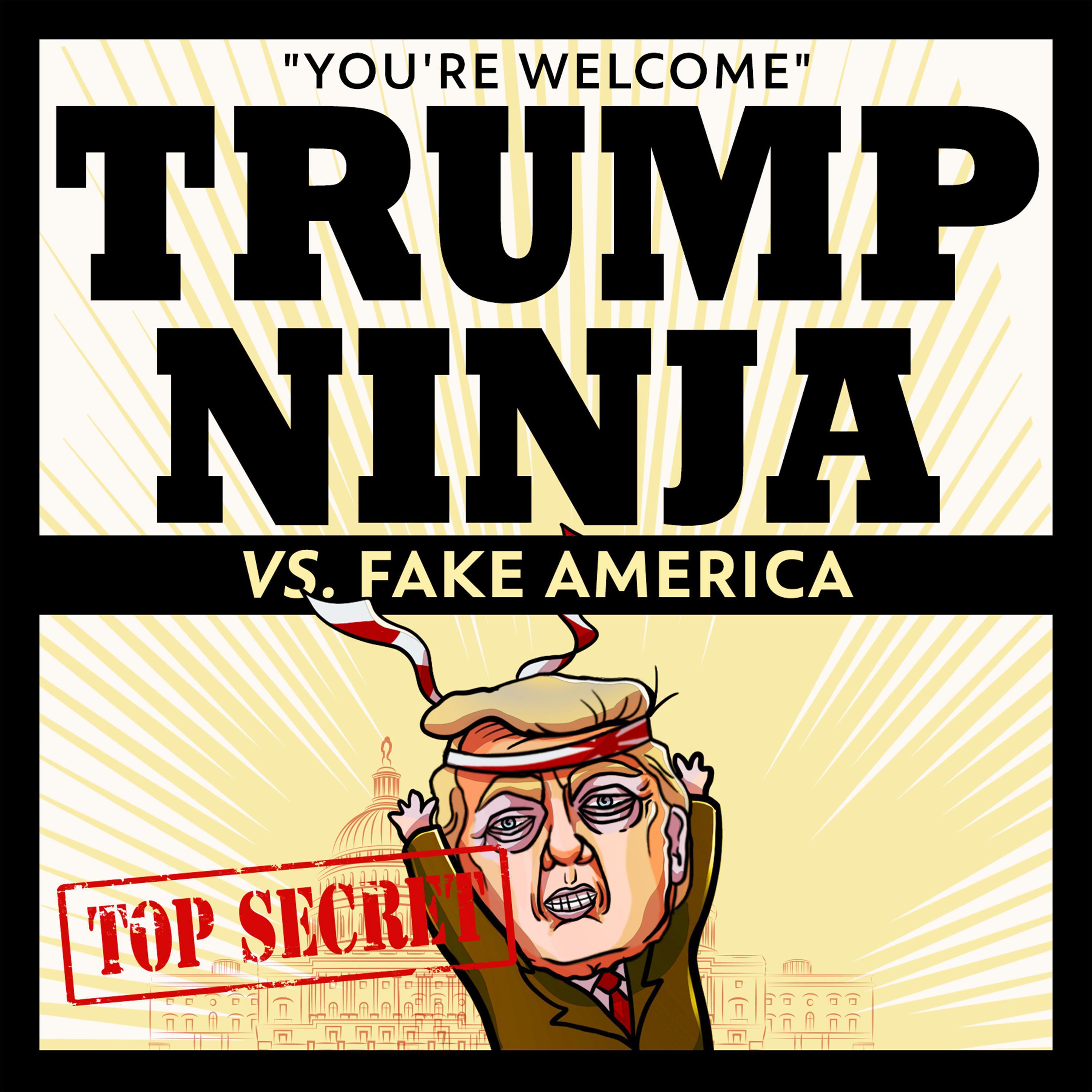 Trump Ninja Vs Fake America