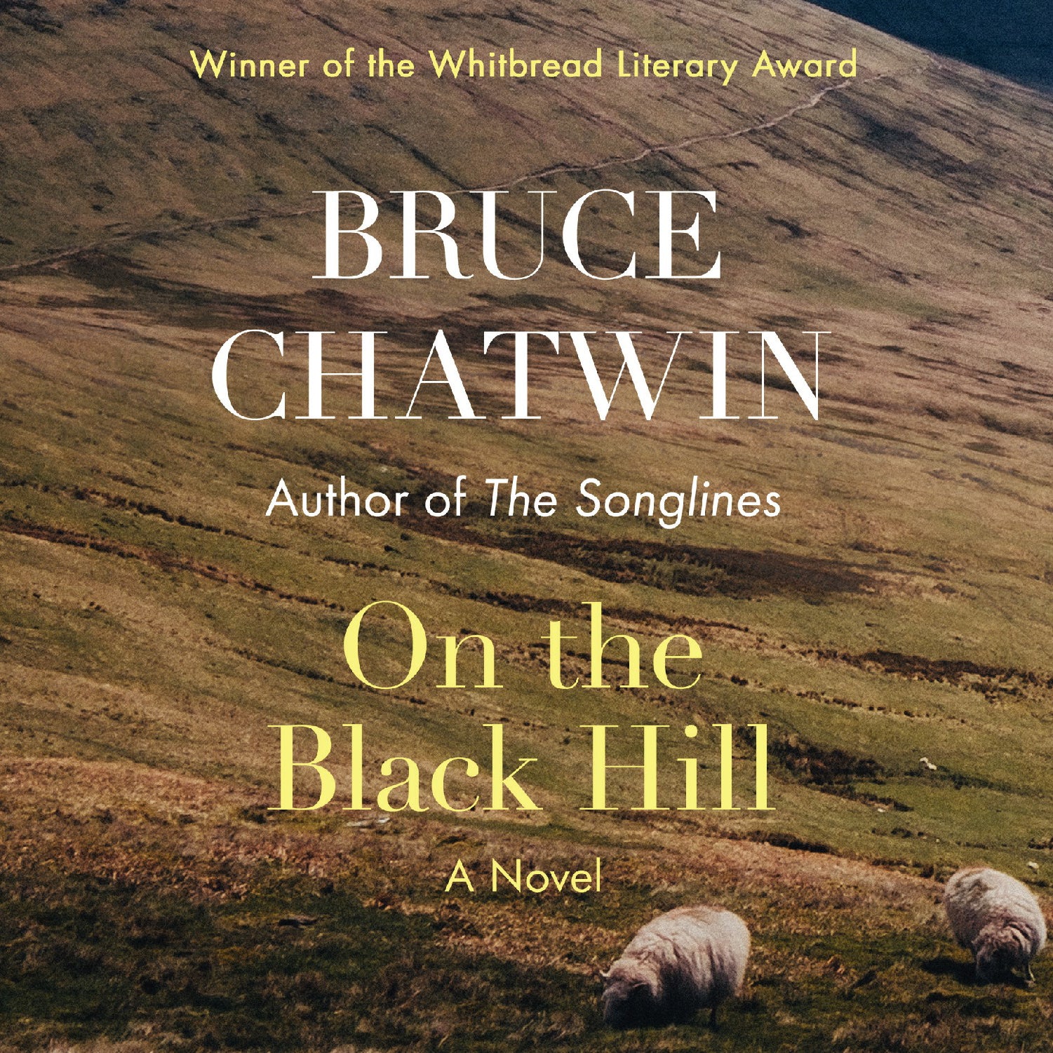 On the Black Hill