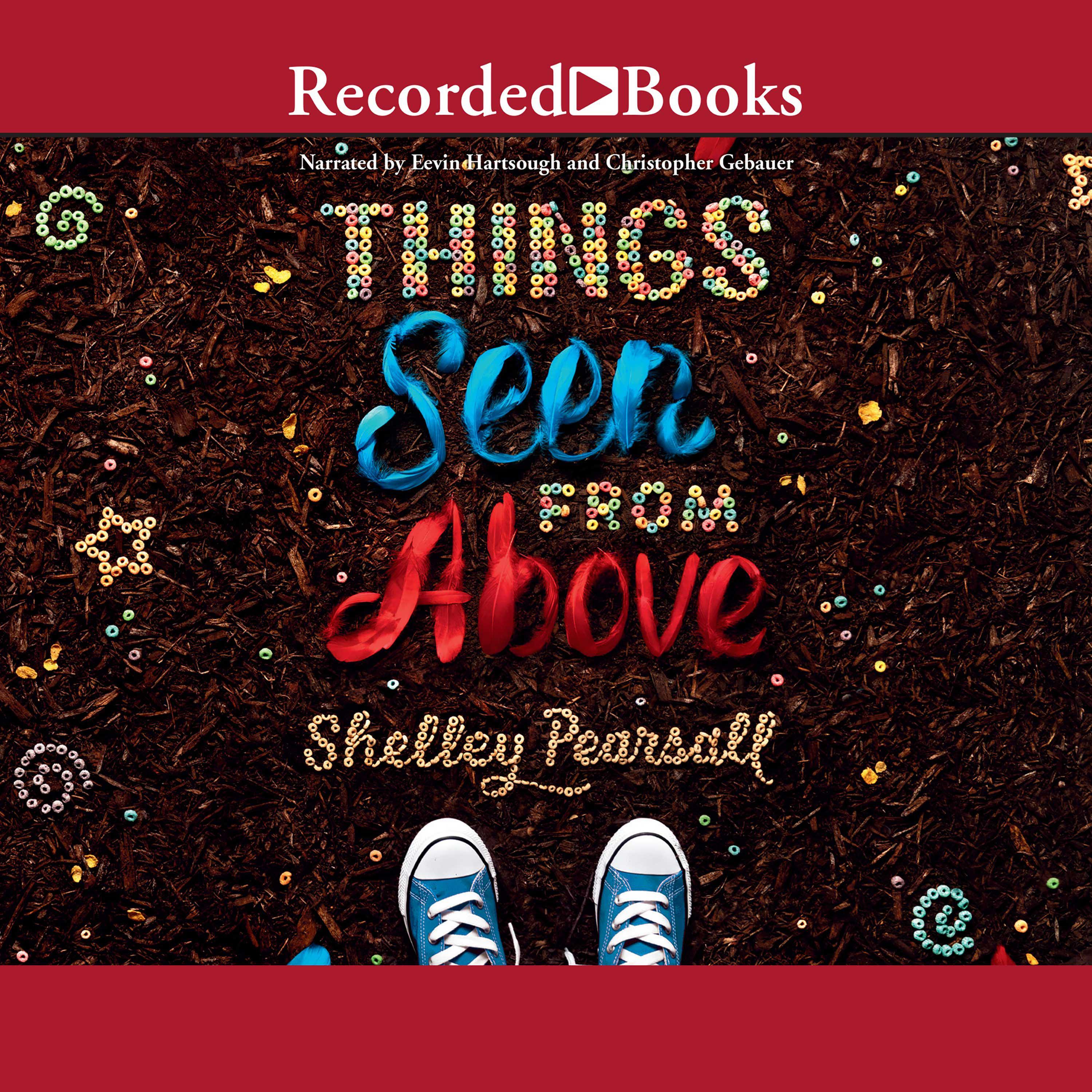 Things Seen From Above