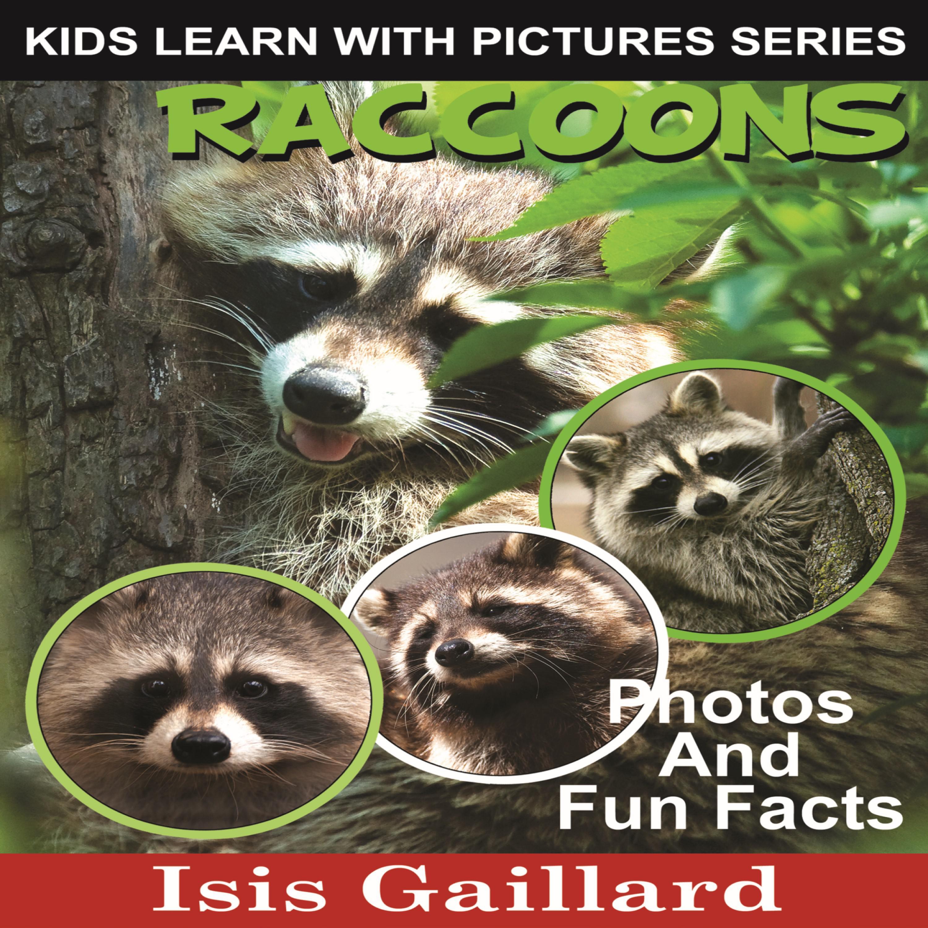 Raccoons