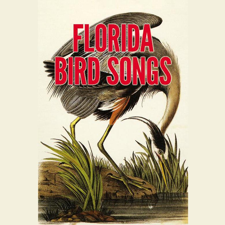 Florida Bird Songs
