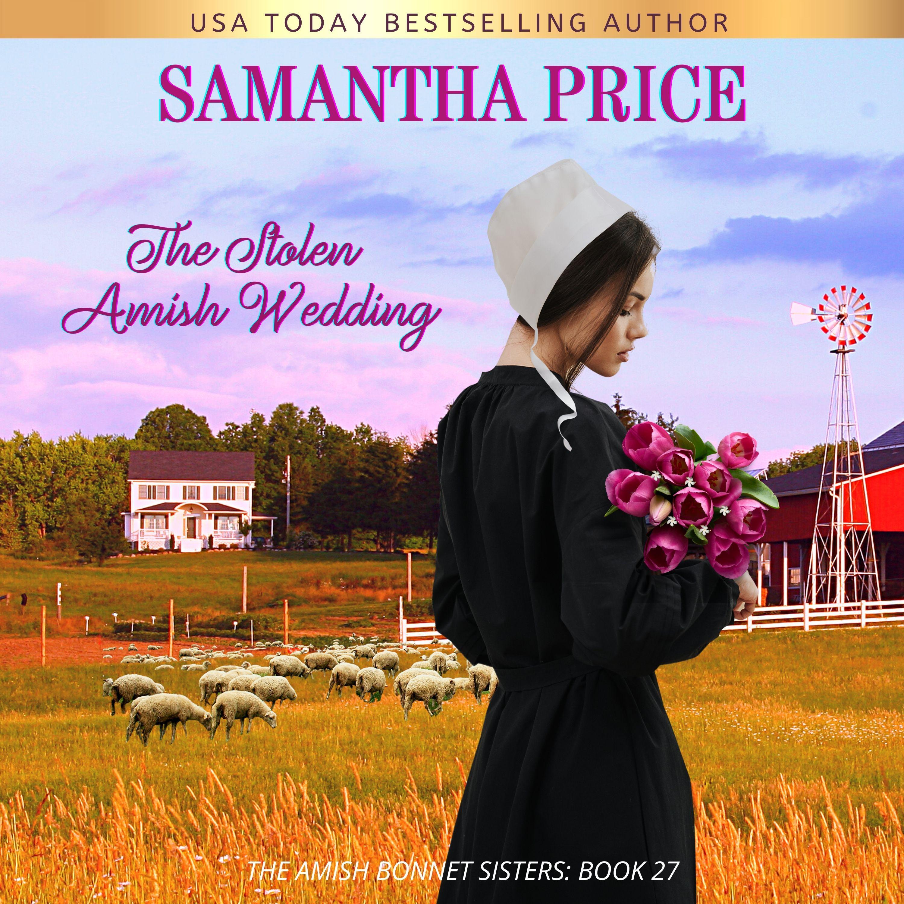 The Stolen Amish Wedding