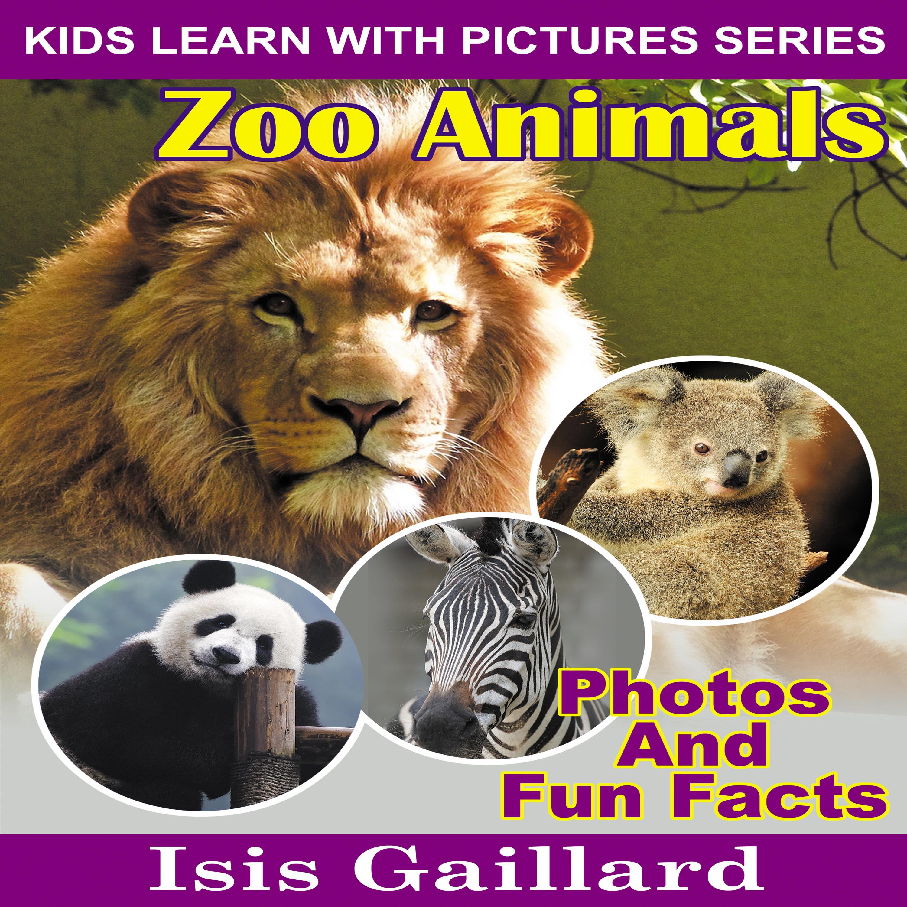 Zoo Animals