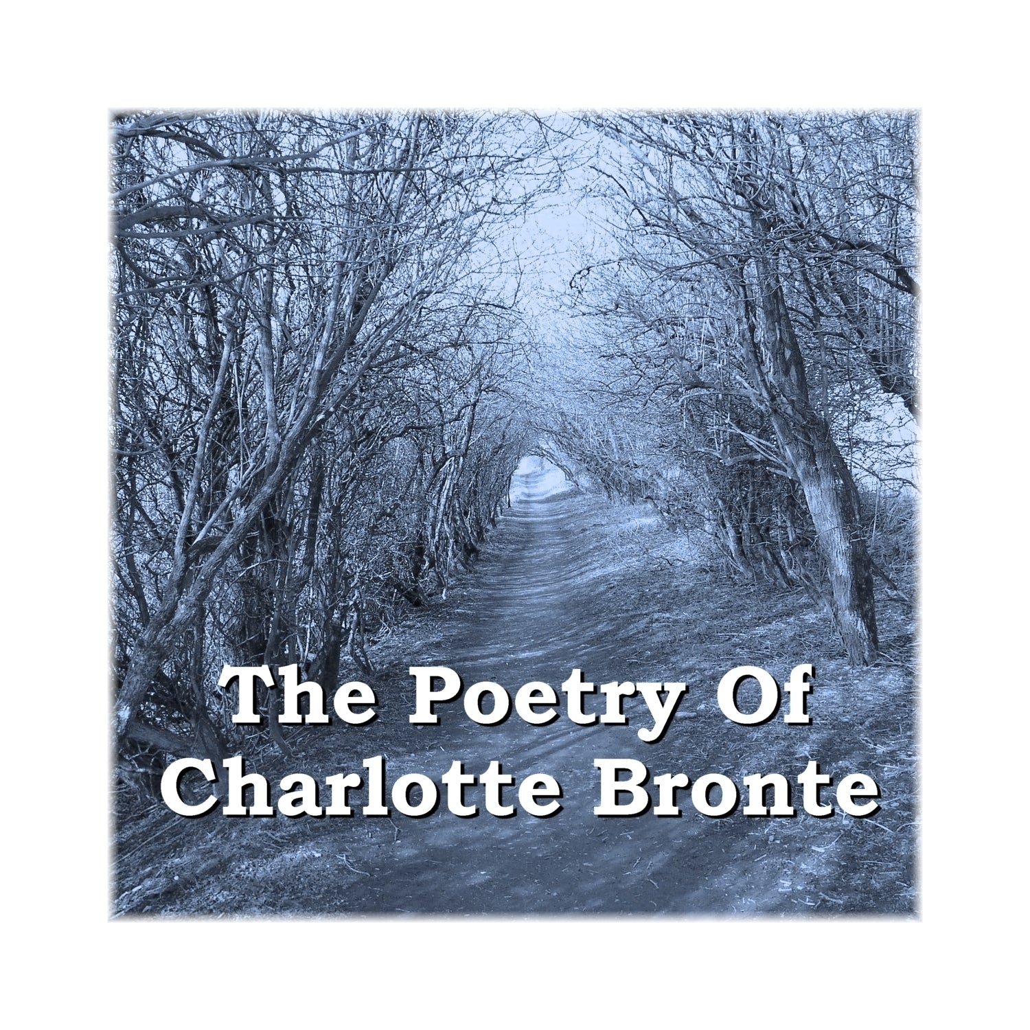 The Poetry of Charlotte Brontë