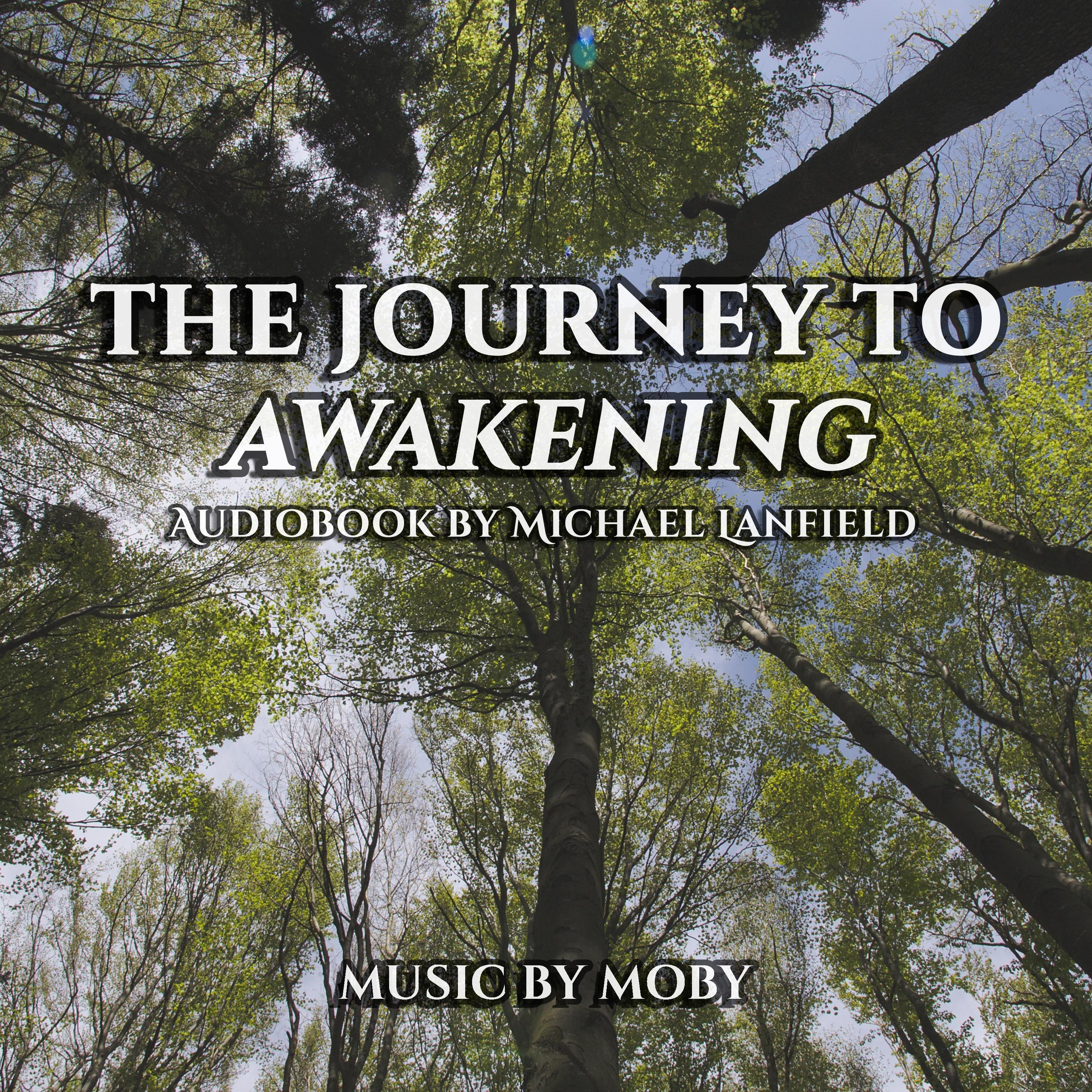 The Journey to Awakening