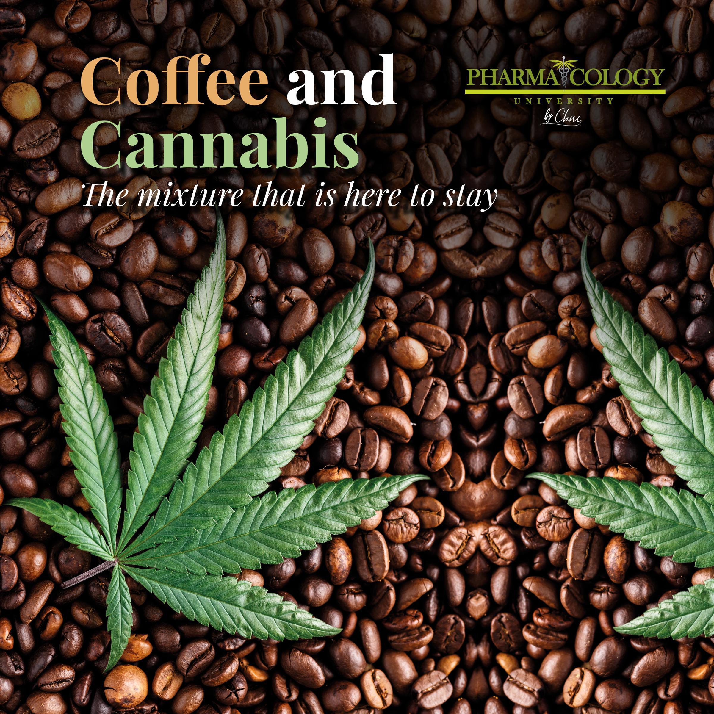 Coffee and Cannabis