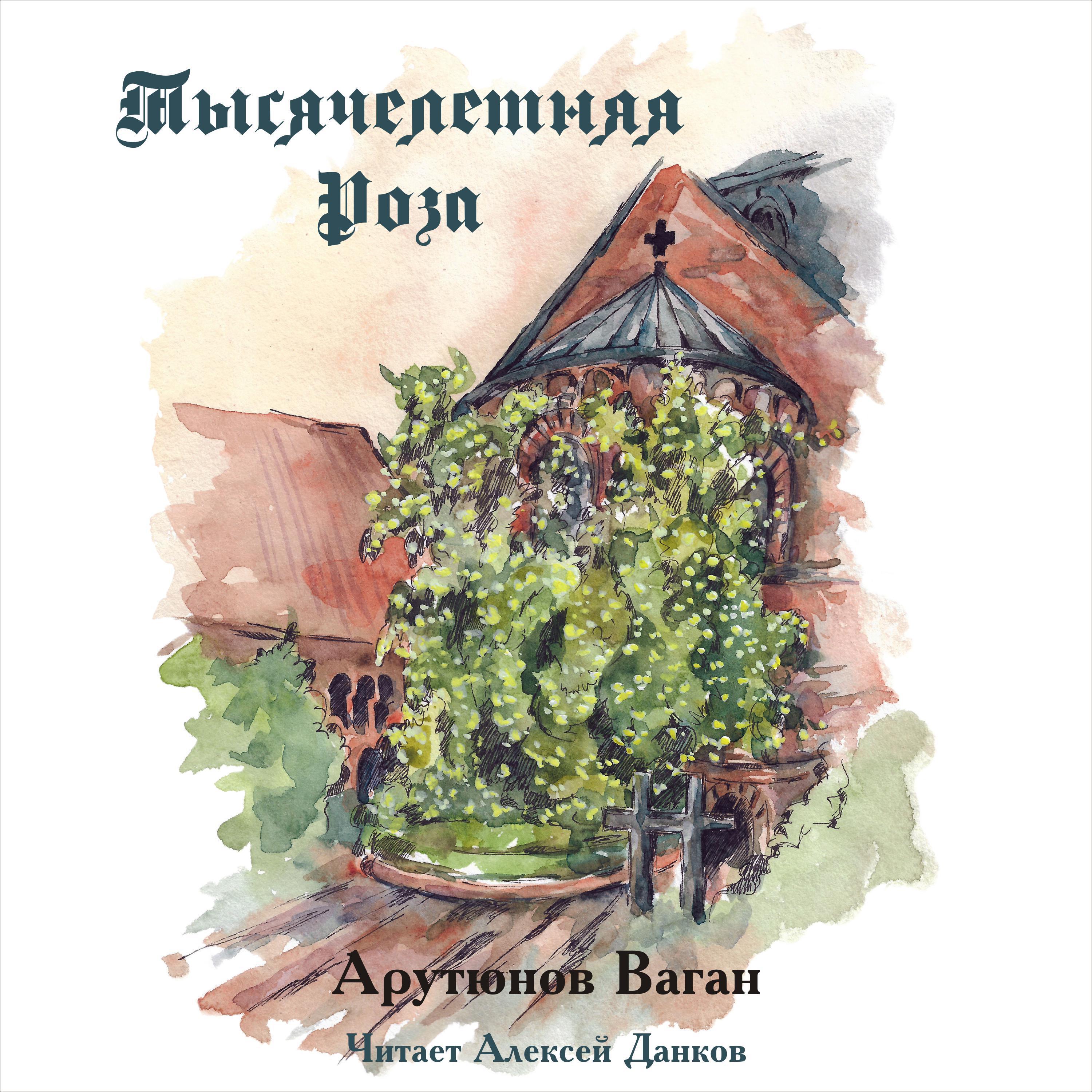 Тысячелетняя Роза