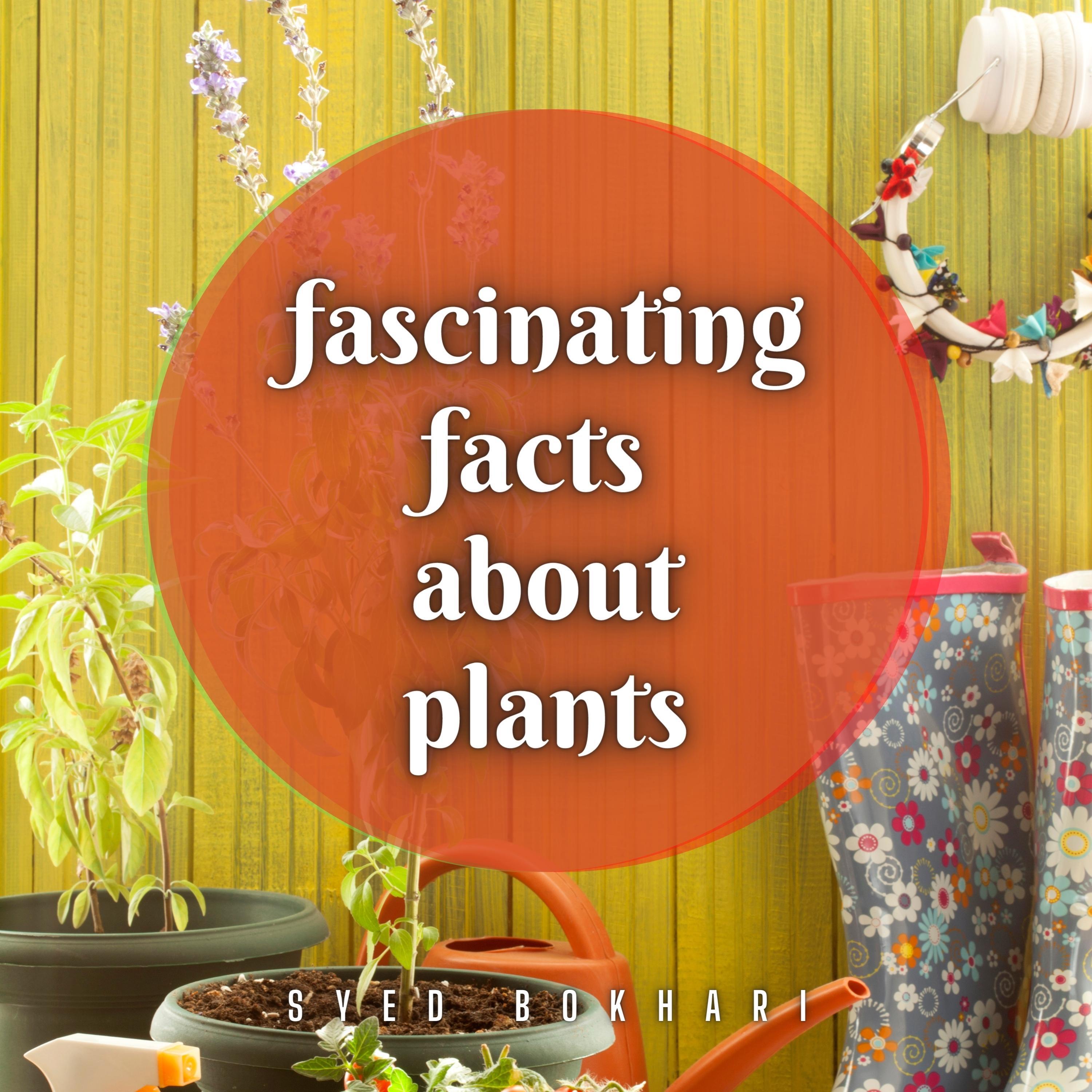 Fascinating Facts About Plants