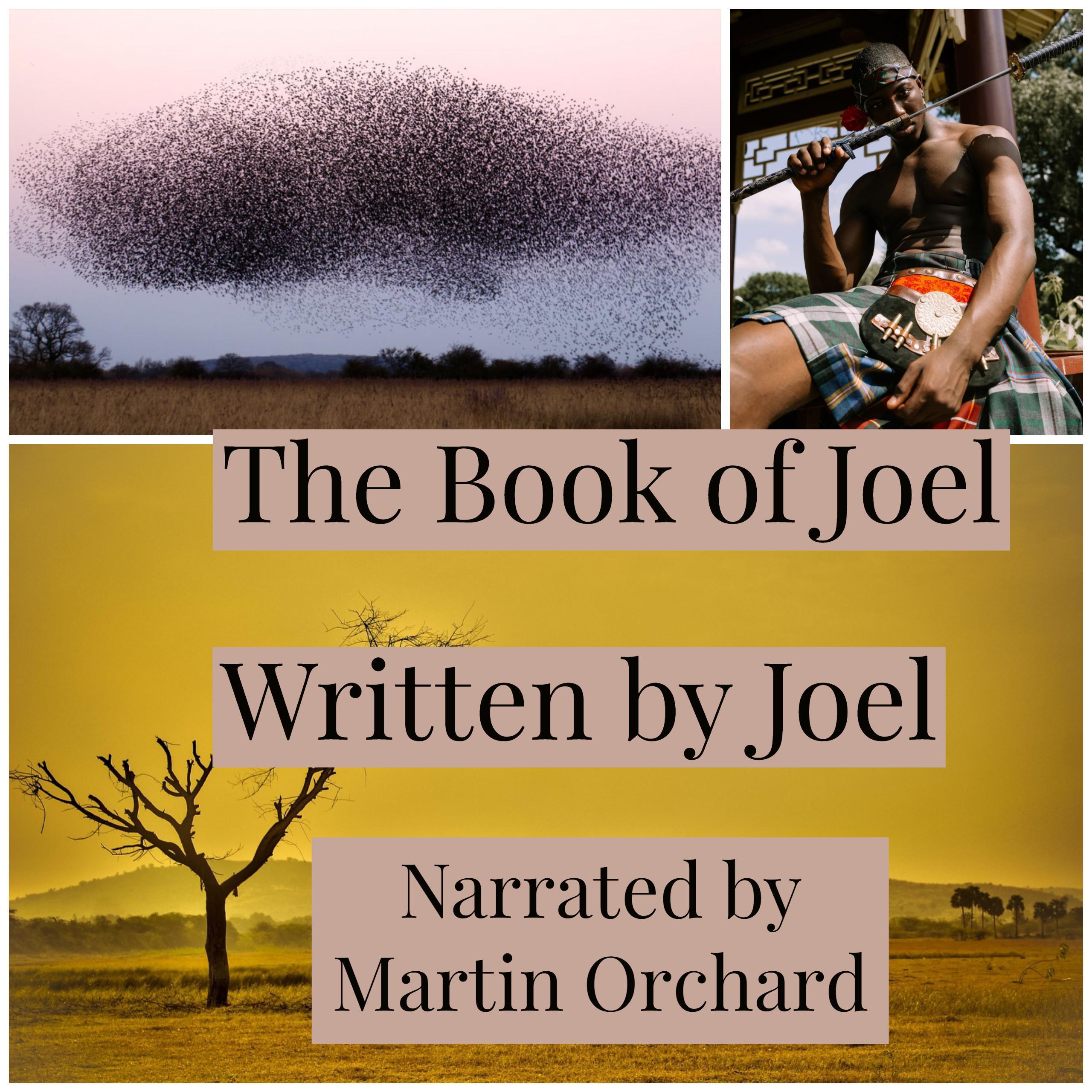 The Book of Joel - The Holy Bible King James Version