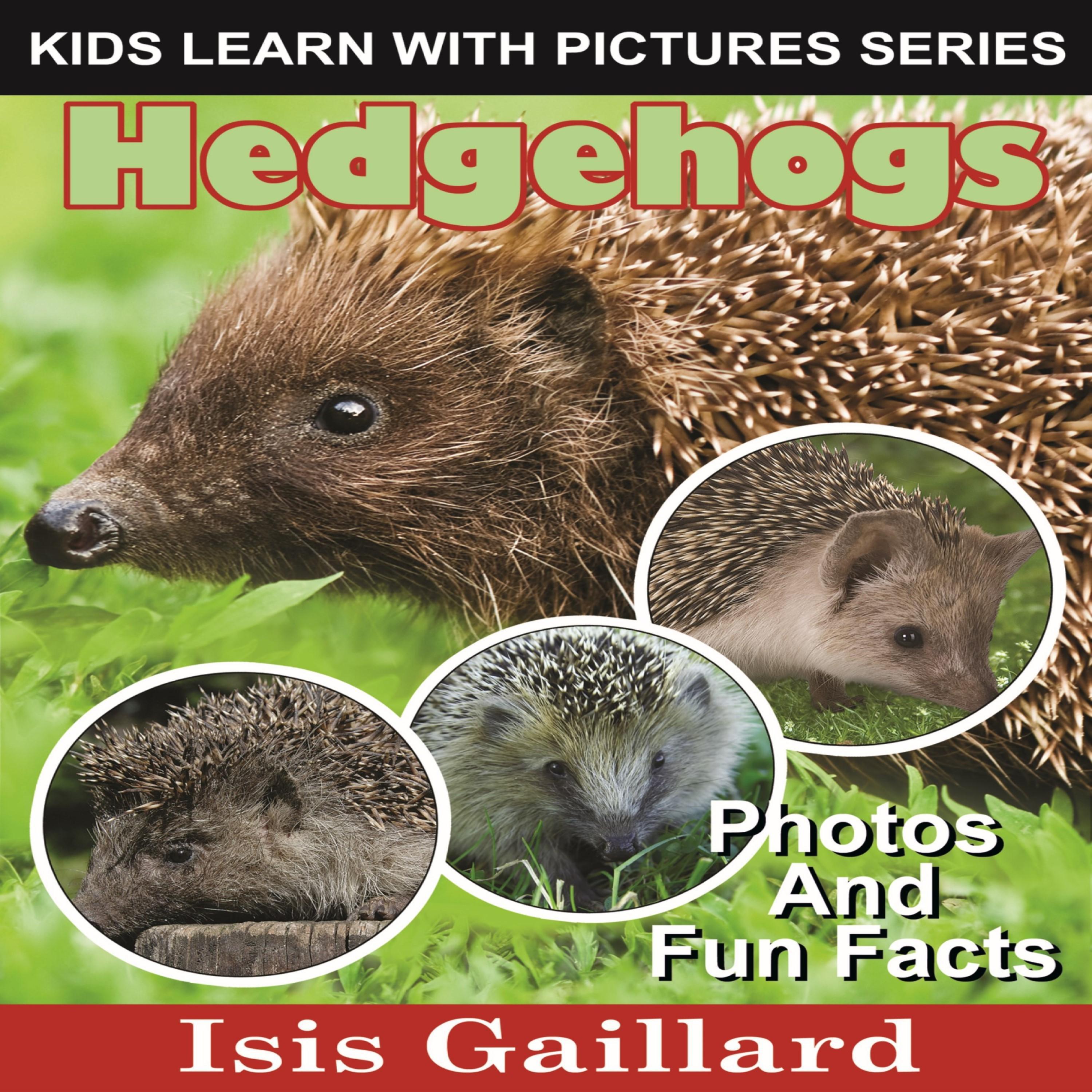 Hedgehogs