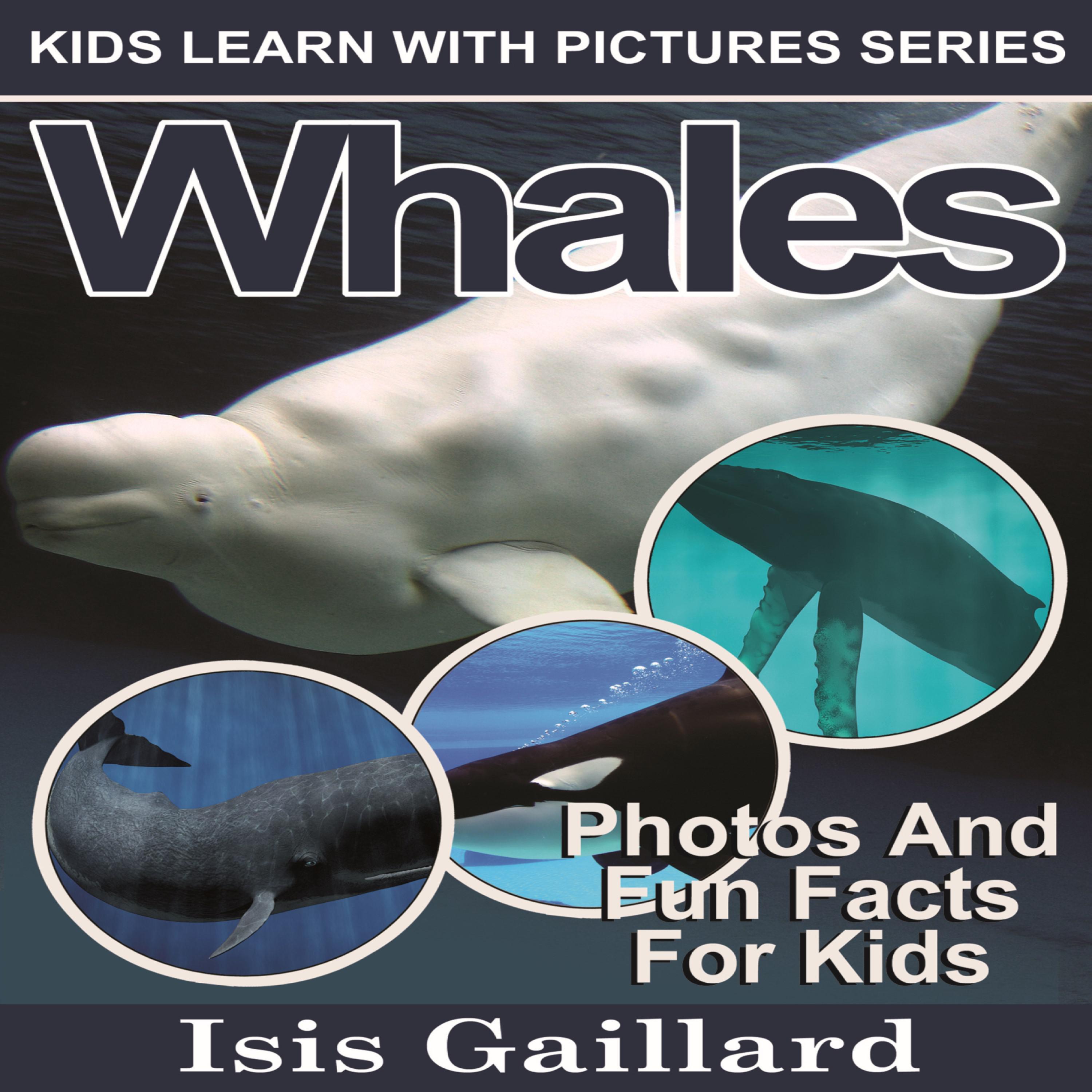 Whales