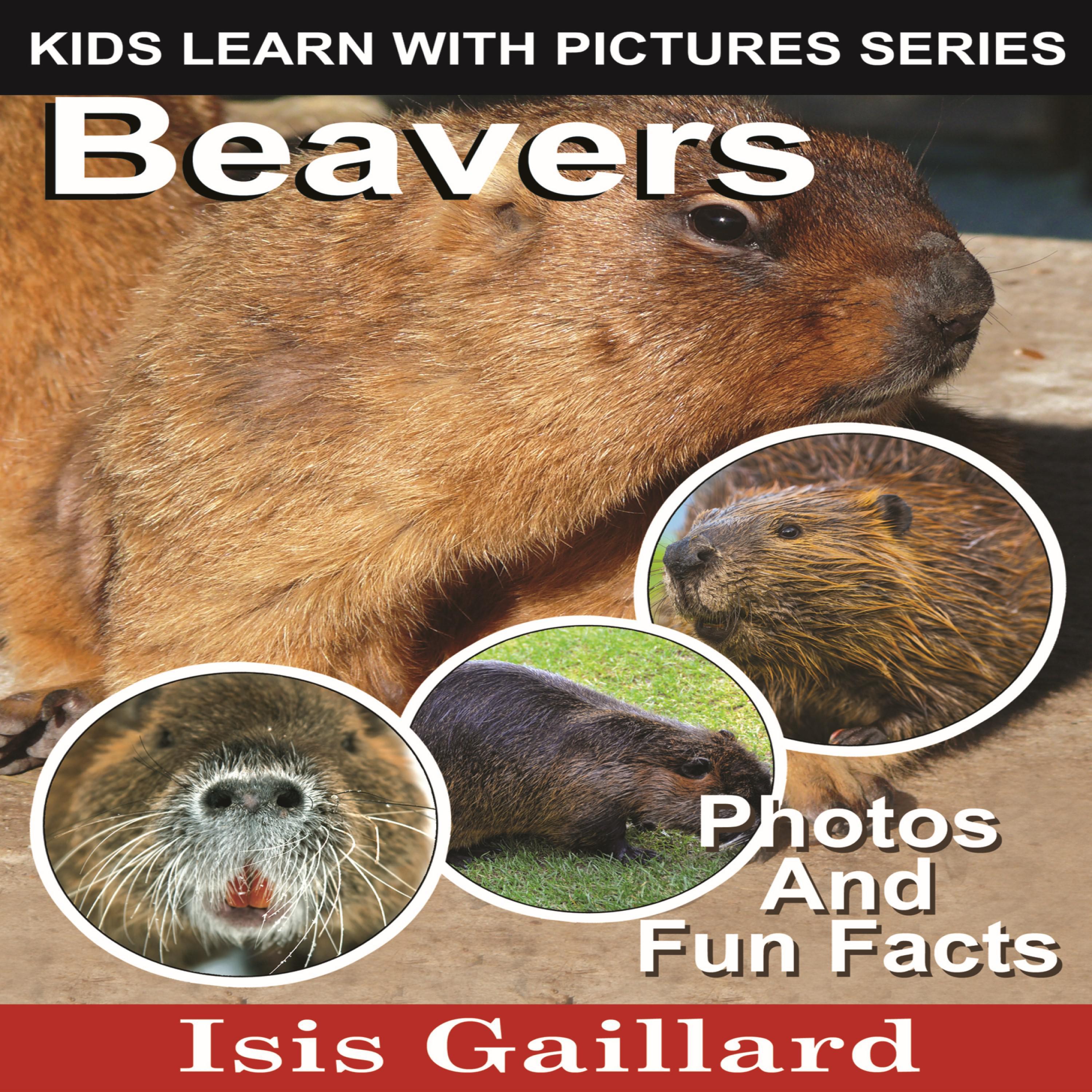 Beavers