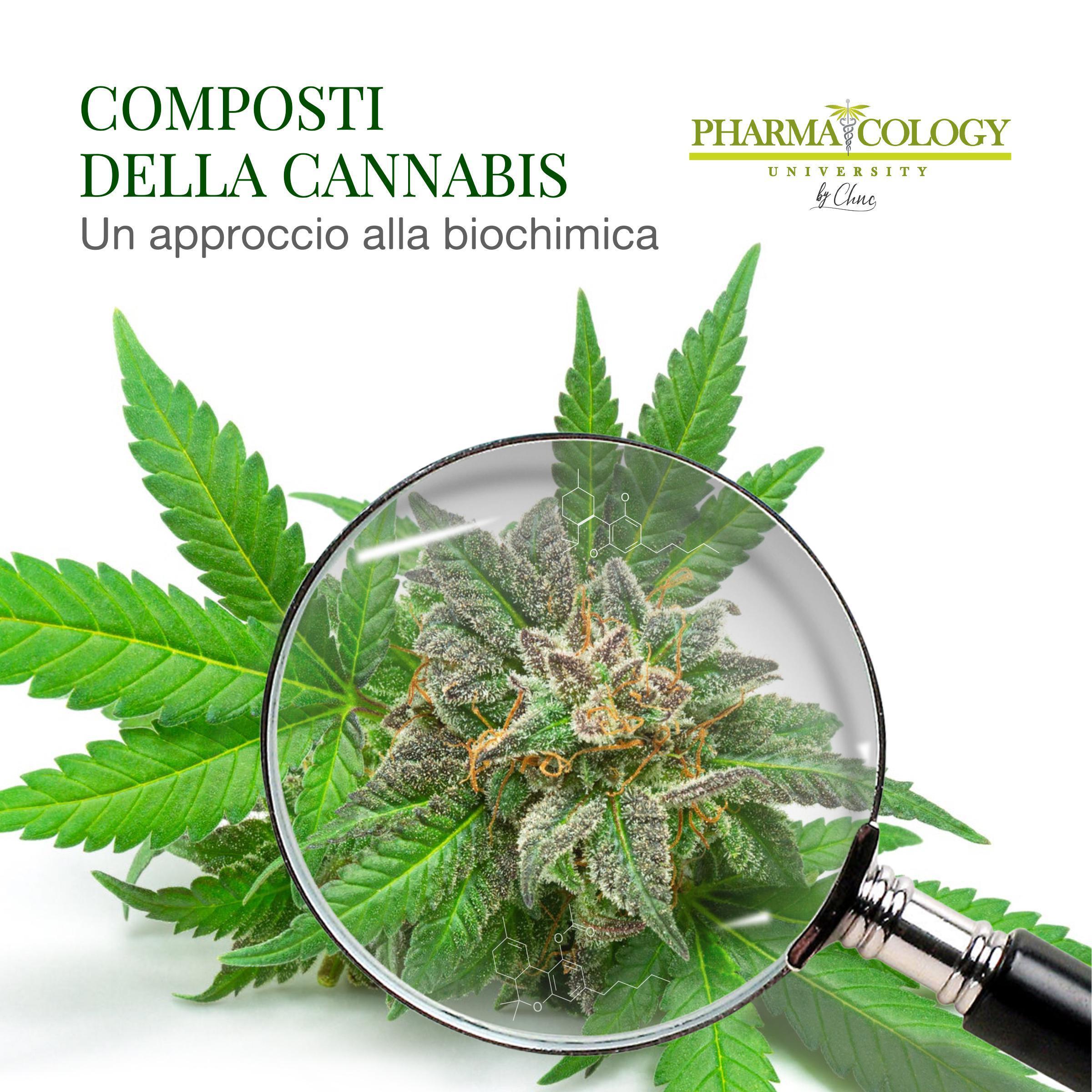 I composti della cannabis