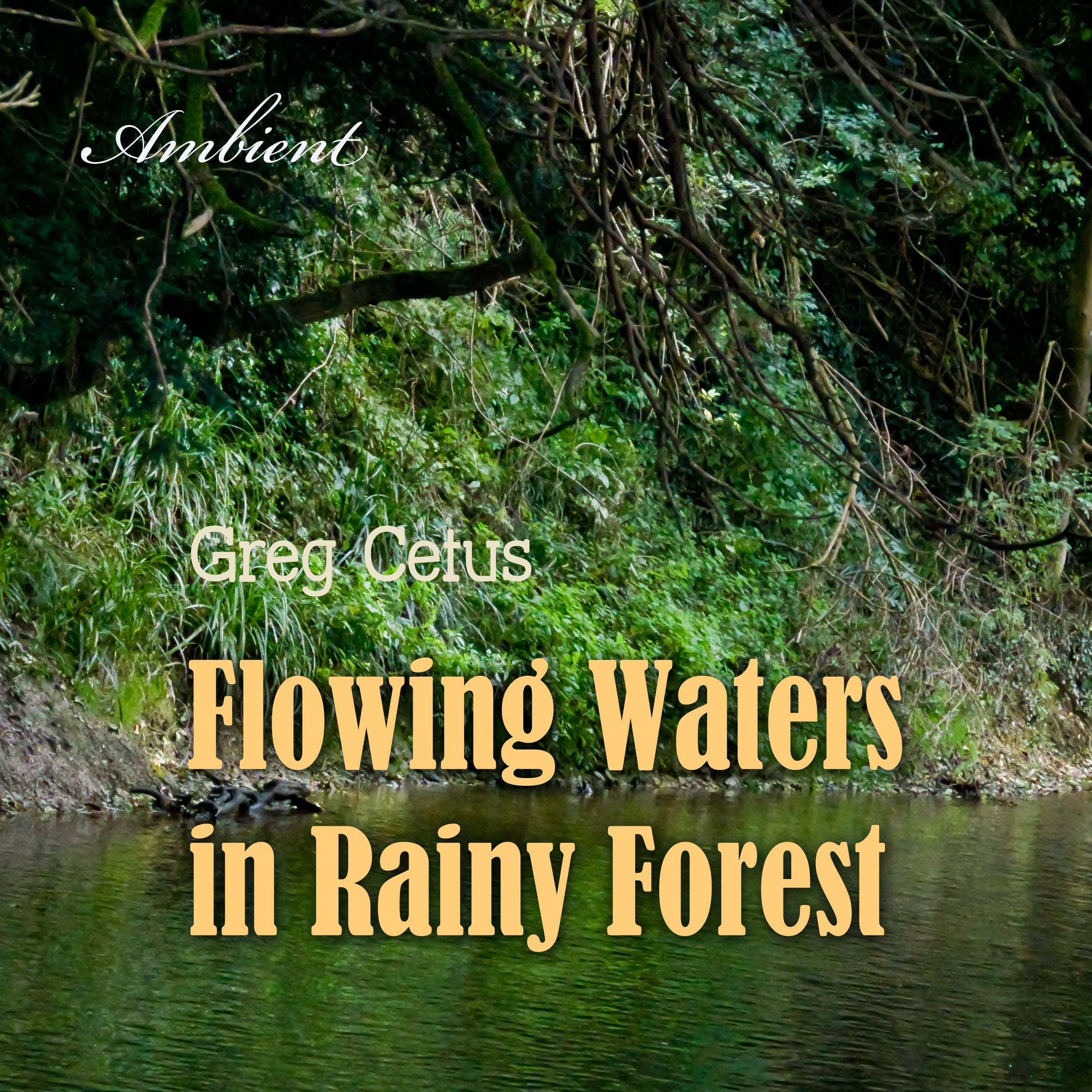 Flowing Waters in Rainy Forest: Ambient Nature Sounds
