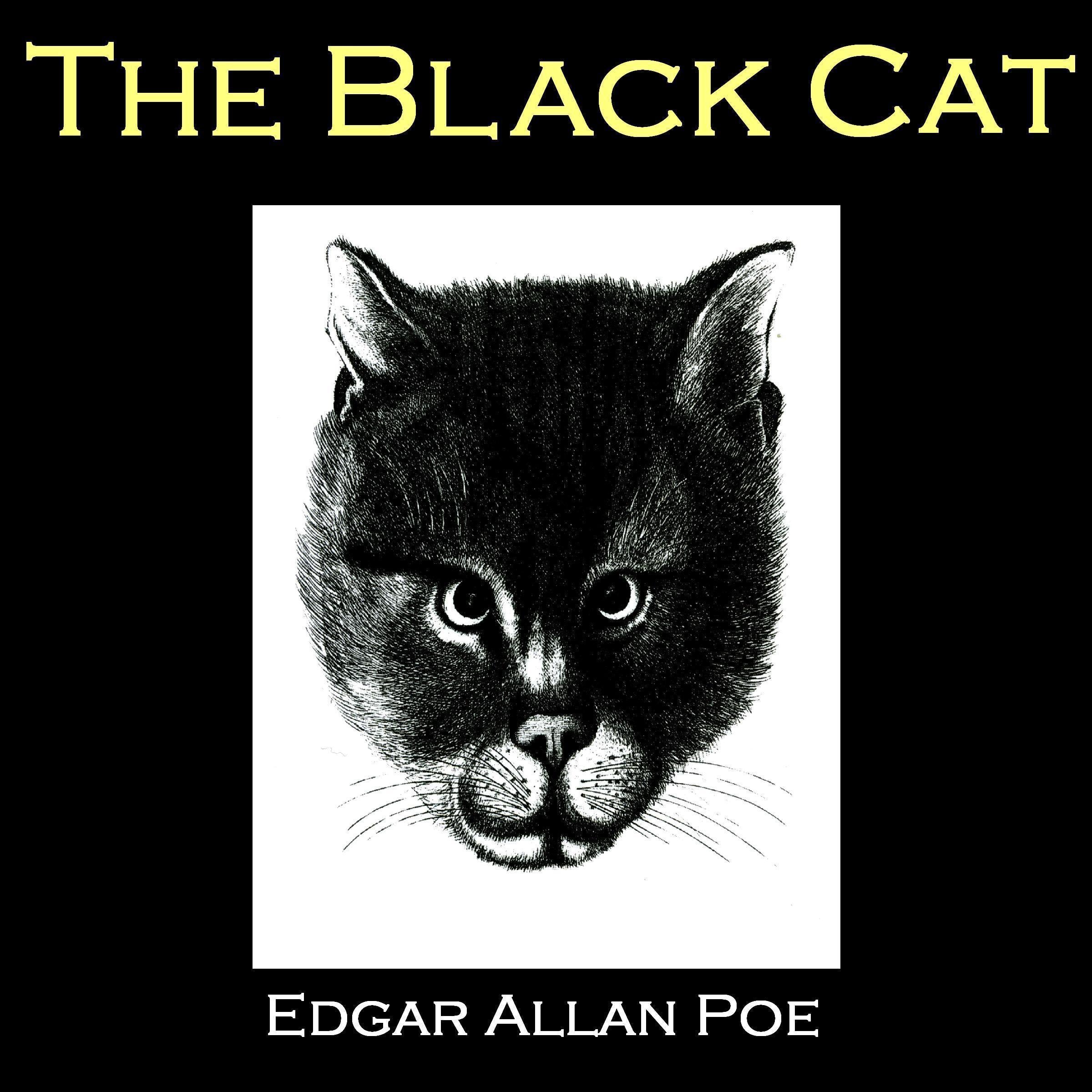 The Black Cat