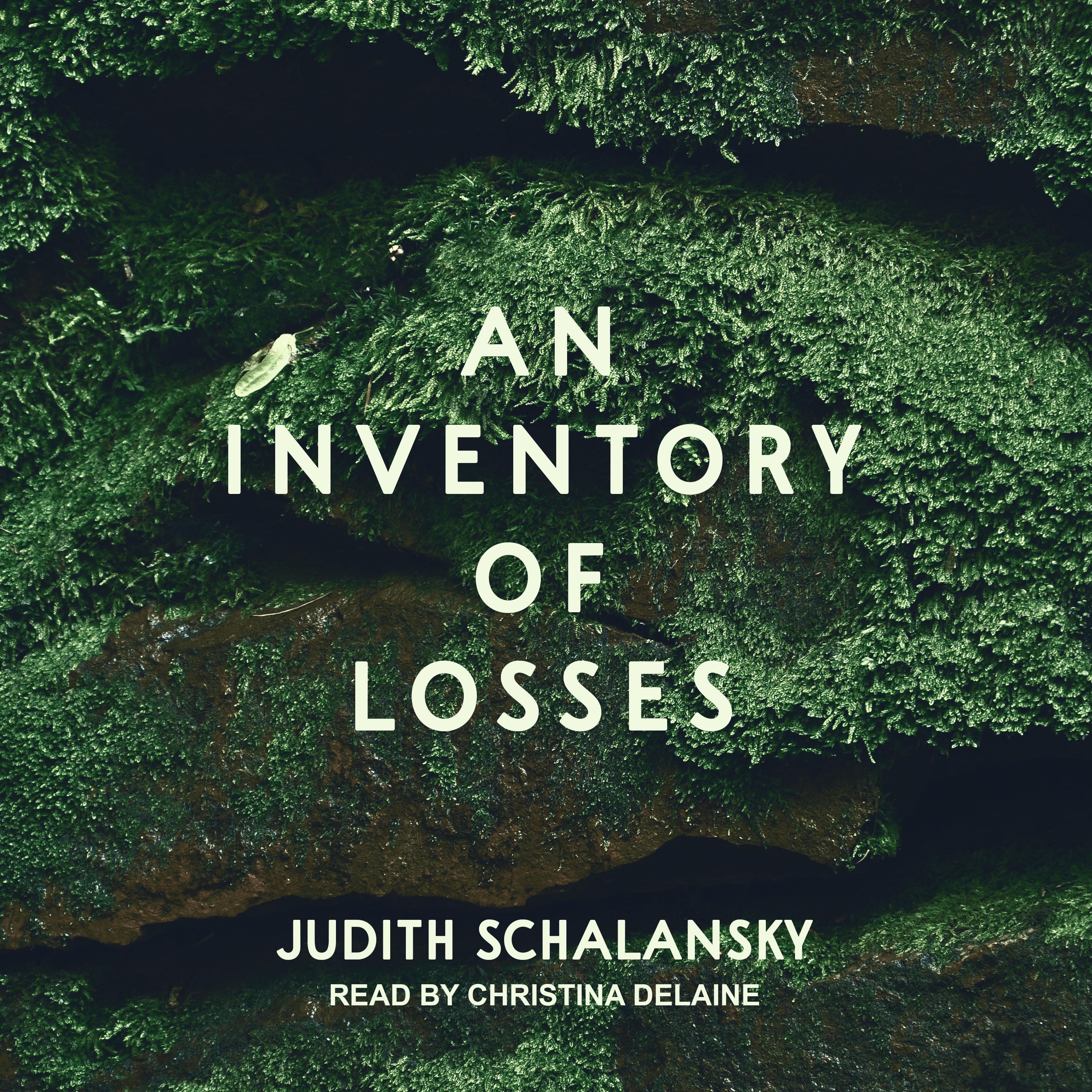An Inventory of Losses