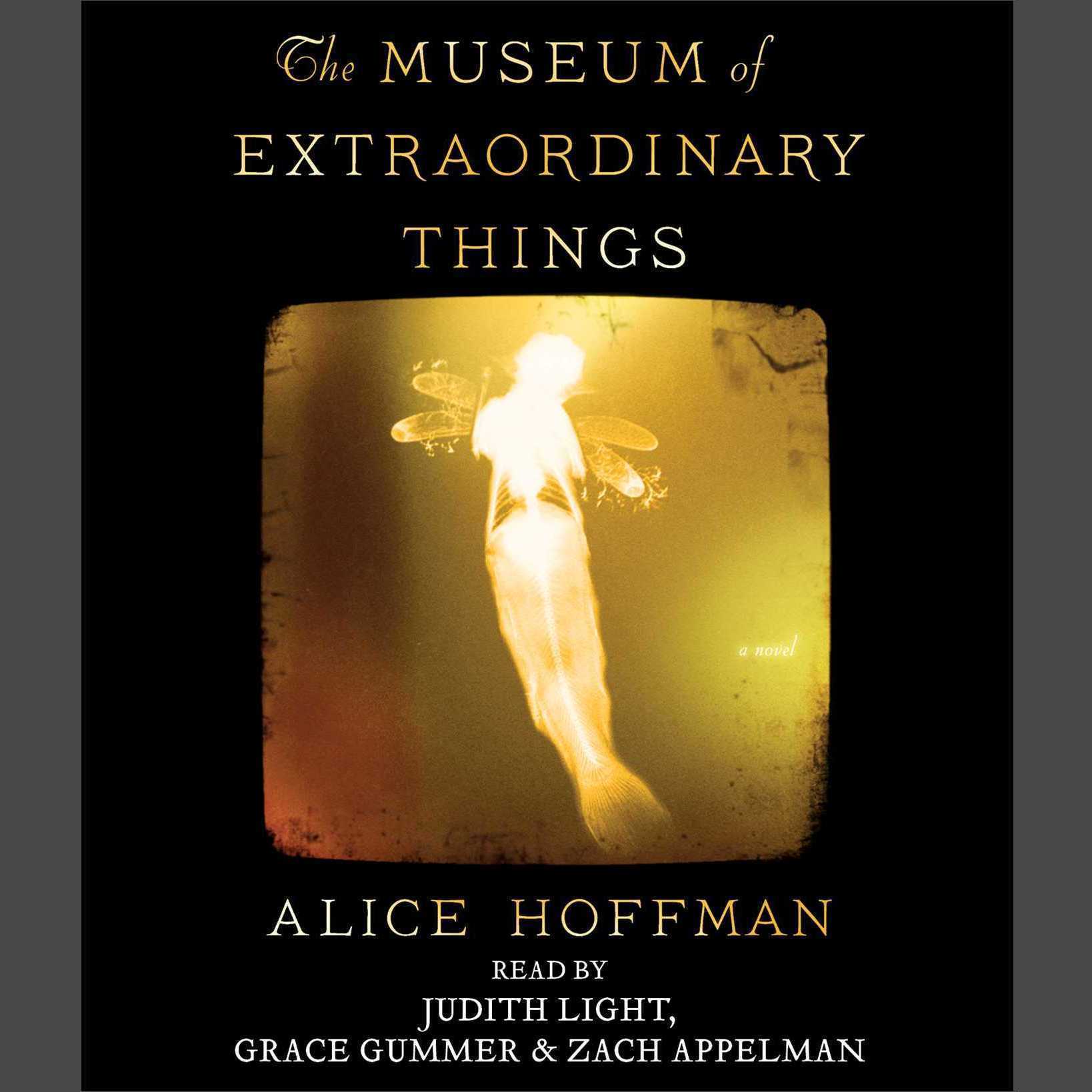 The Museum of Extraordinary Things