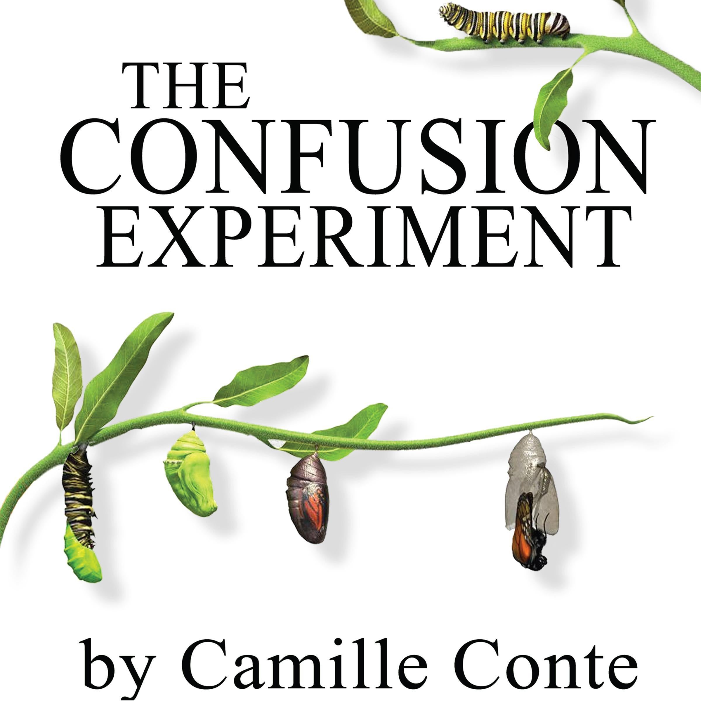 The Confusion Experiment