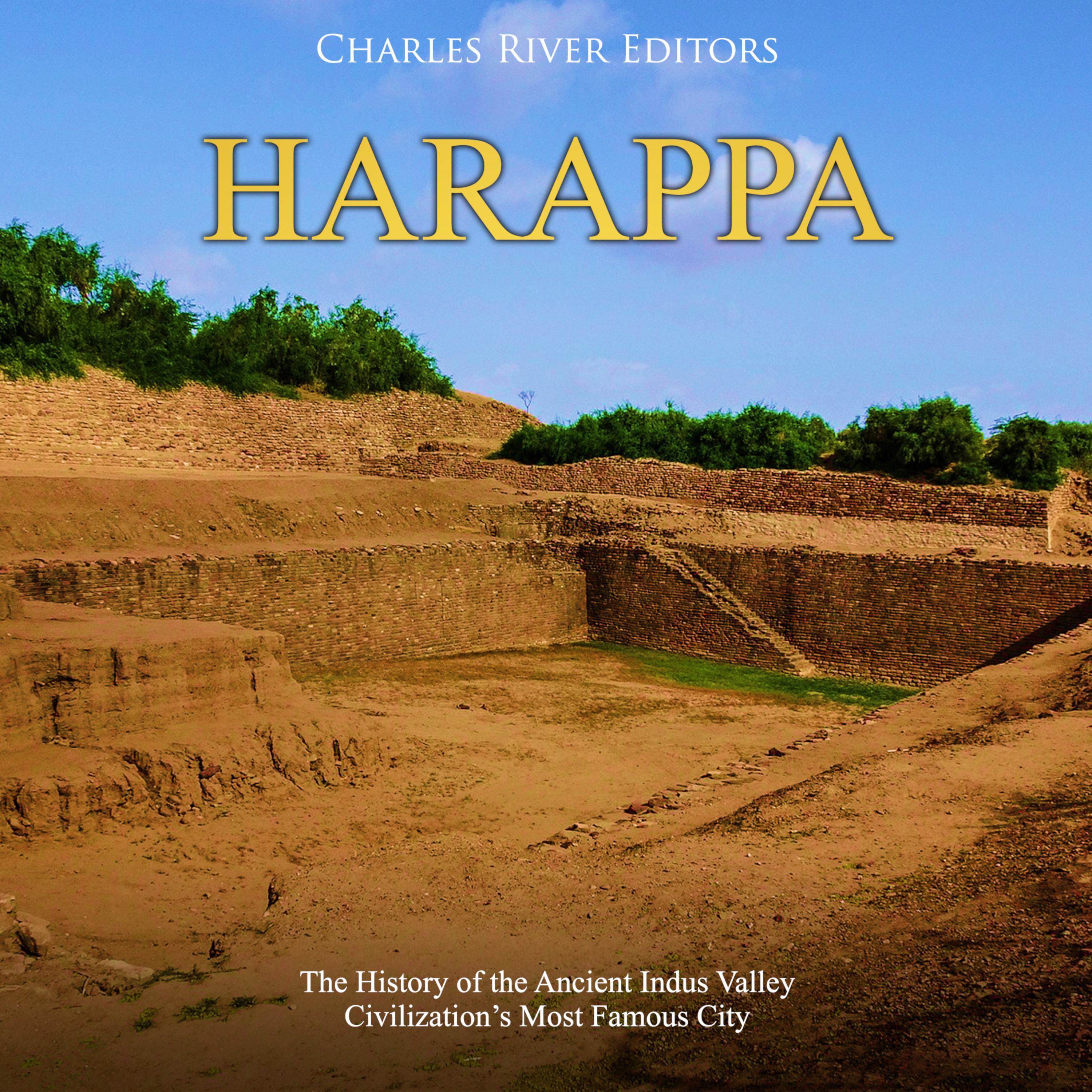 Harappa: The History of the Ancient Indus Valley Civilization’s Most Famous City