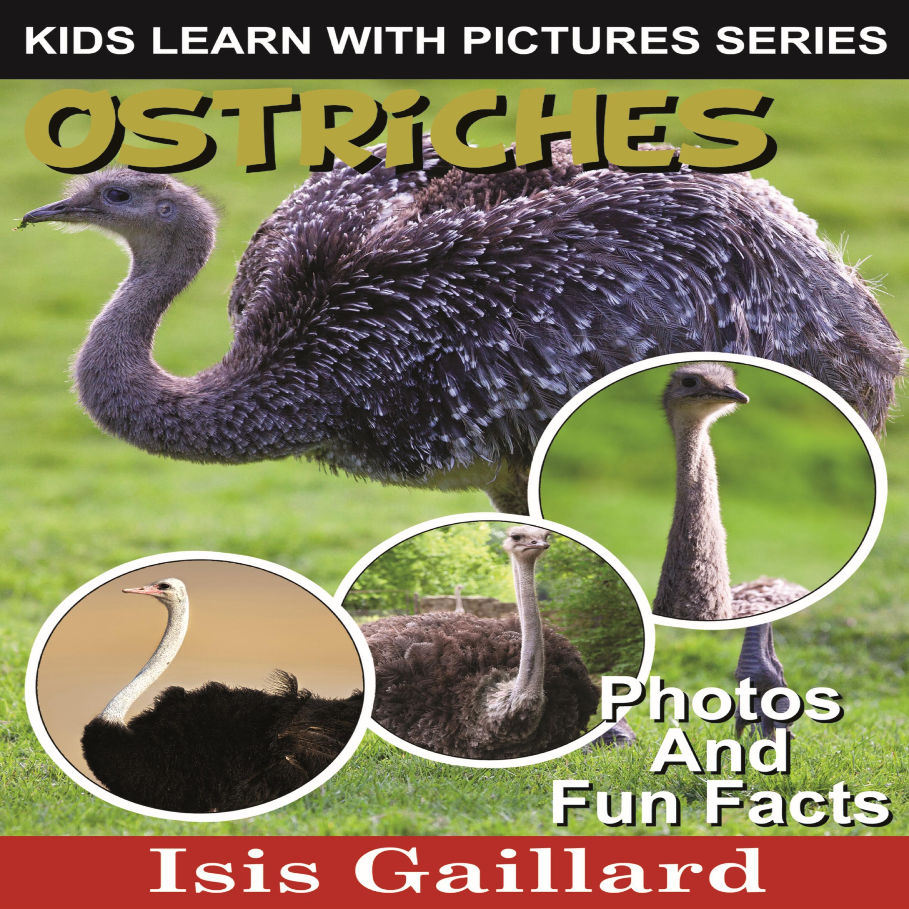 Ostriches