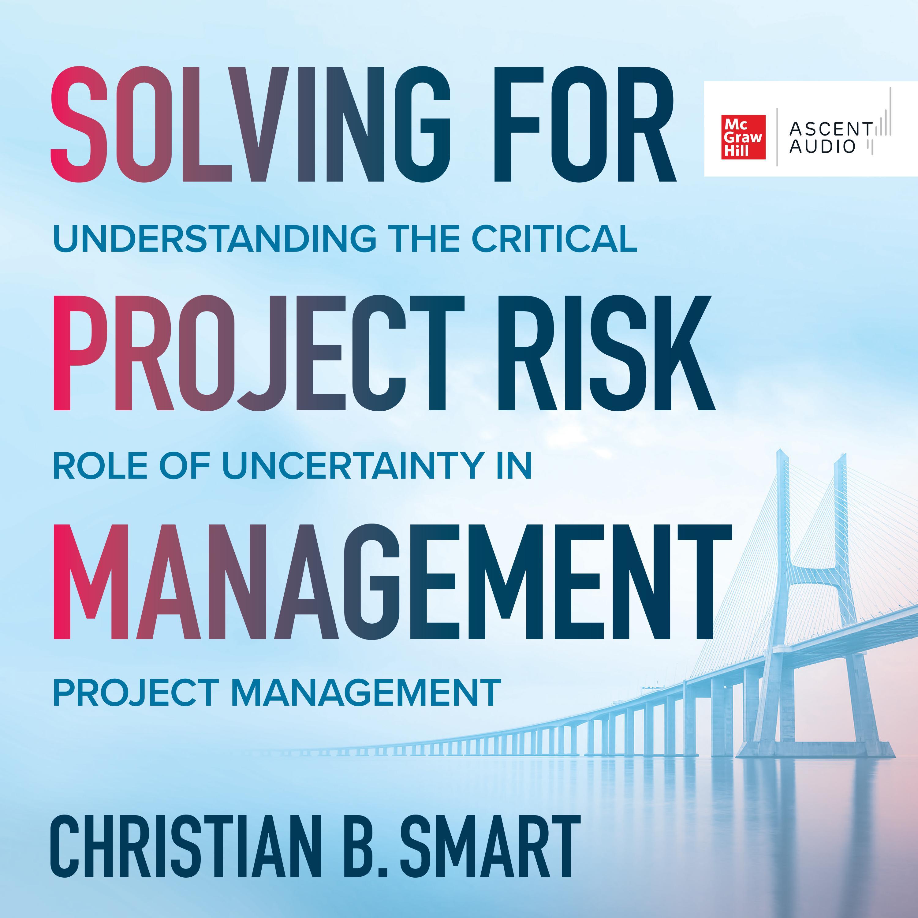 Solving for Project Risk Management