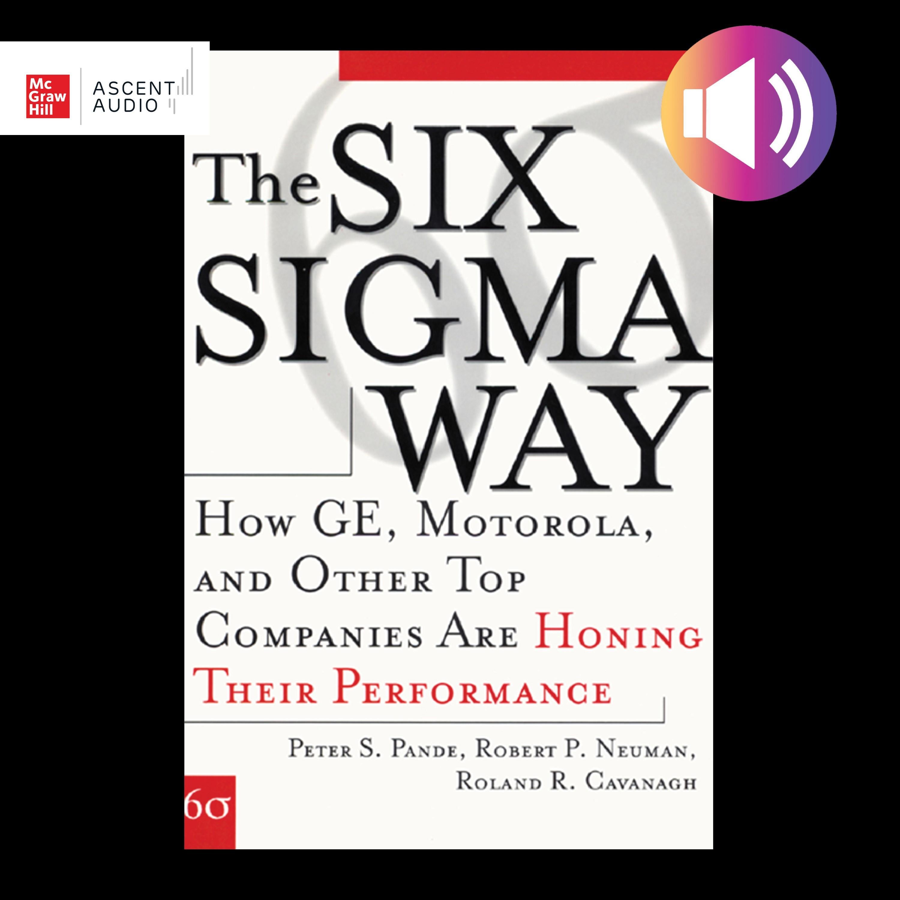 The Six Sigma Way