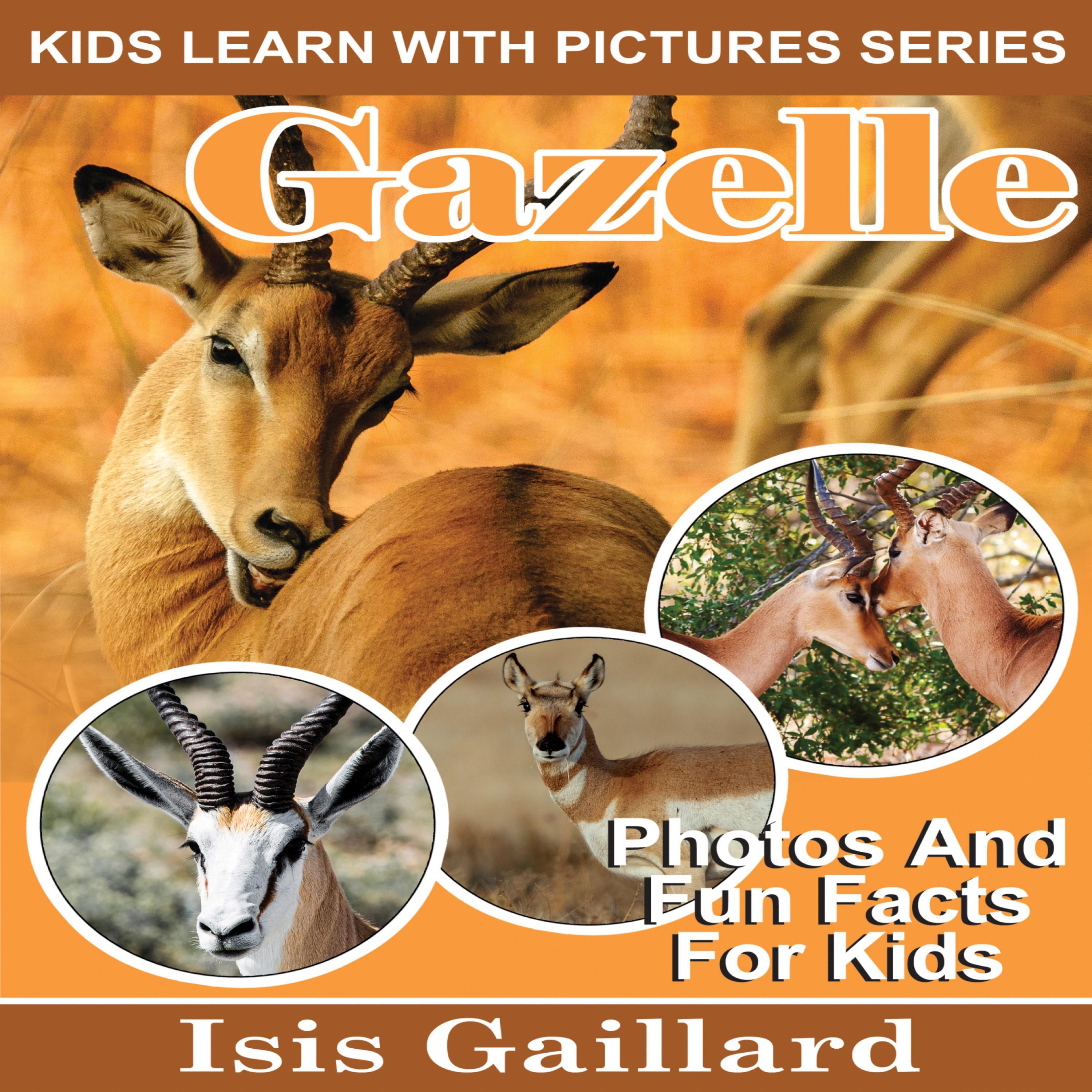 Gazelle