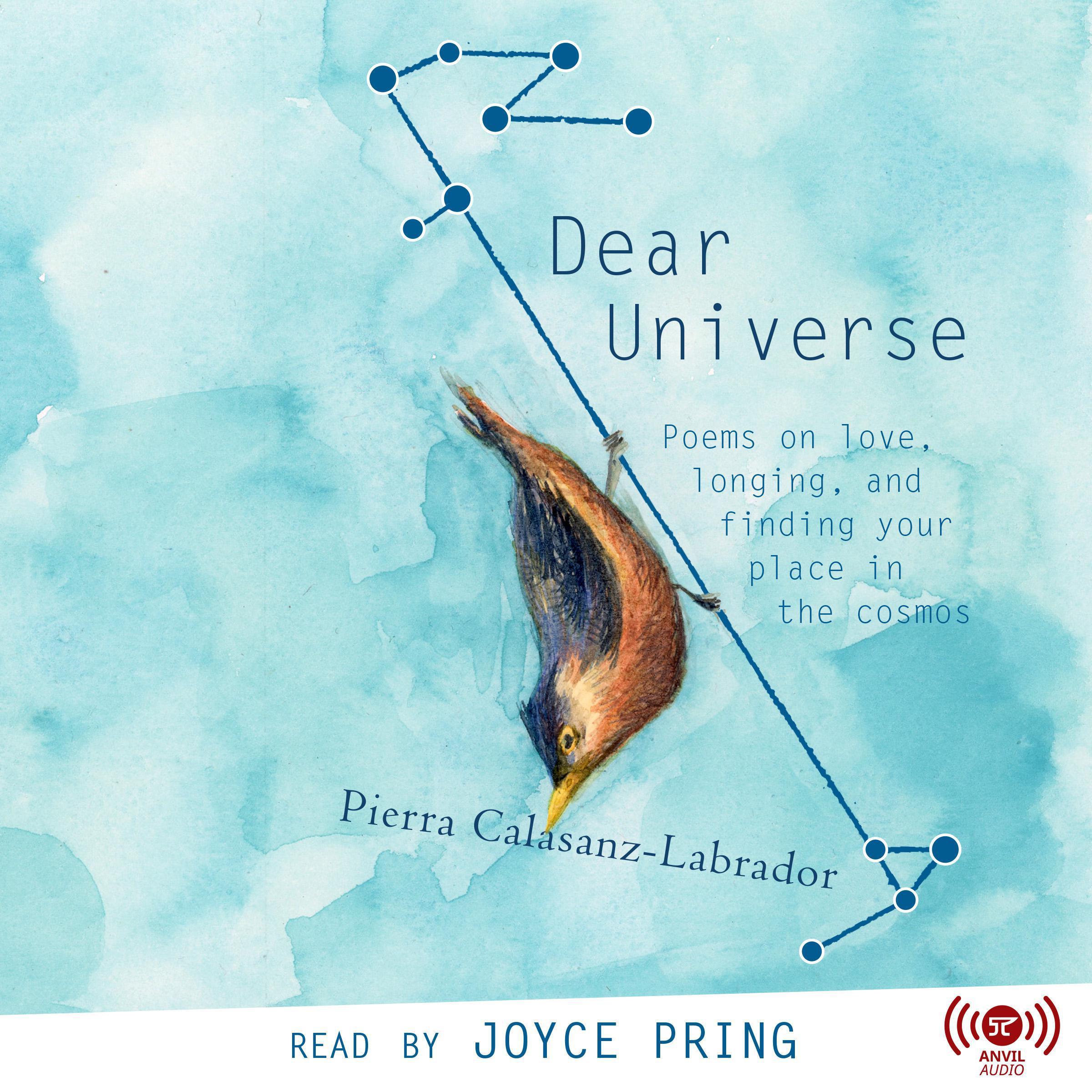 Dear Universe