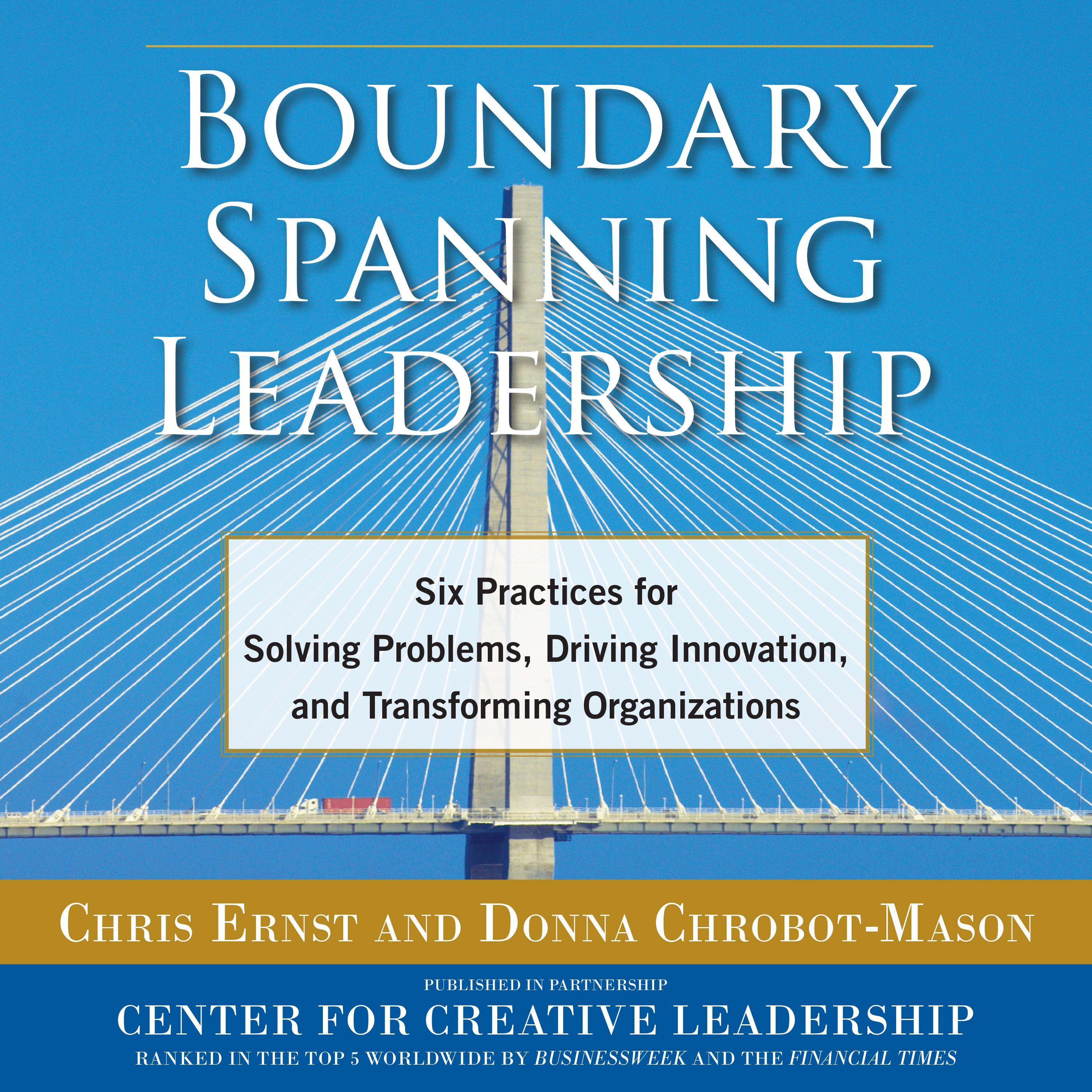 Boundary Spanning Leadership