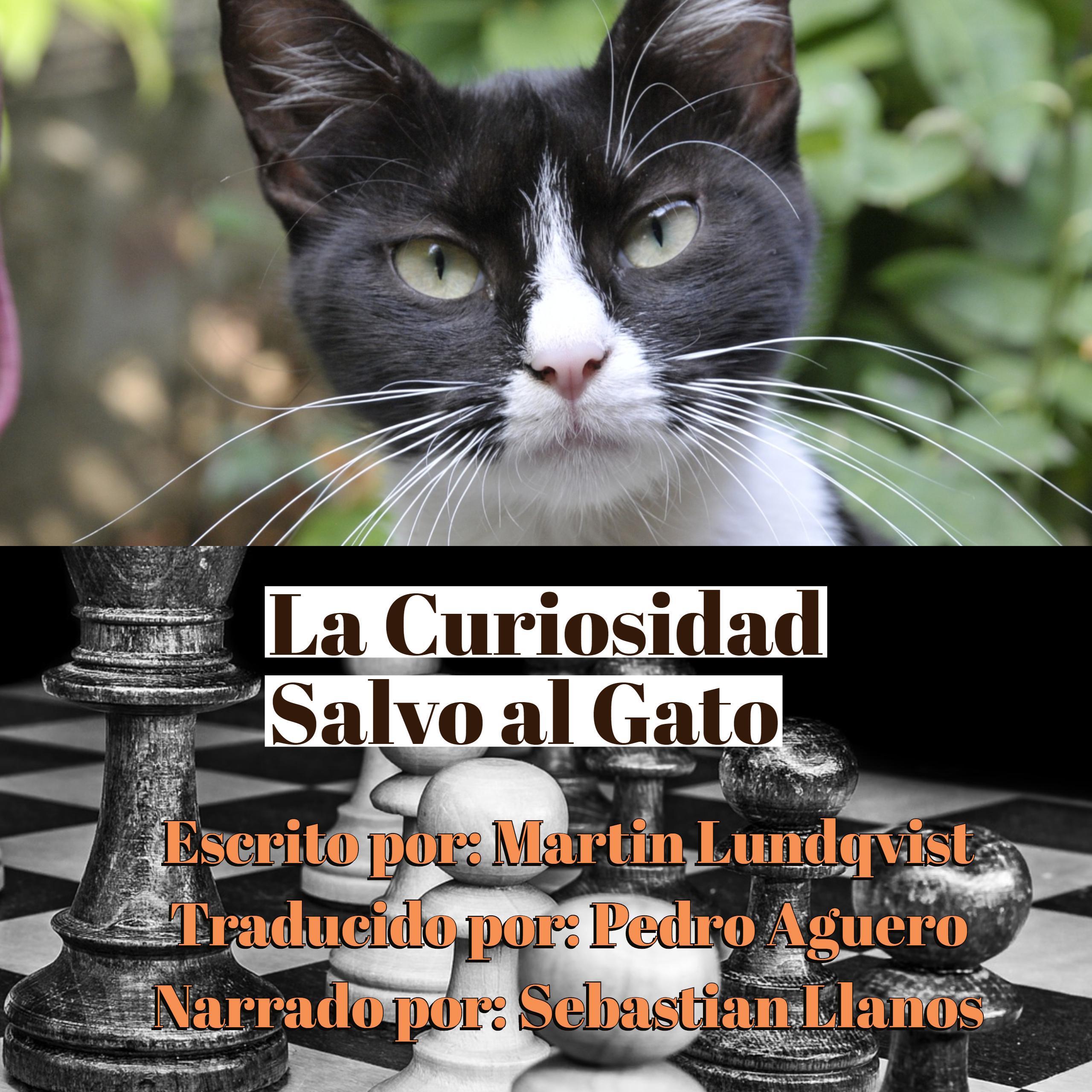 La Curiosidad Salvo el Gato.