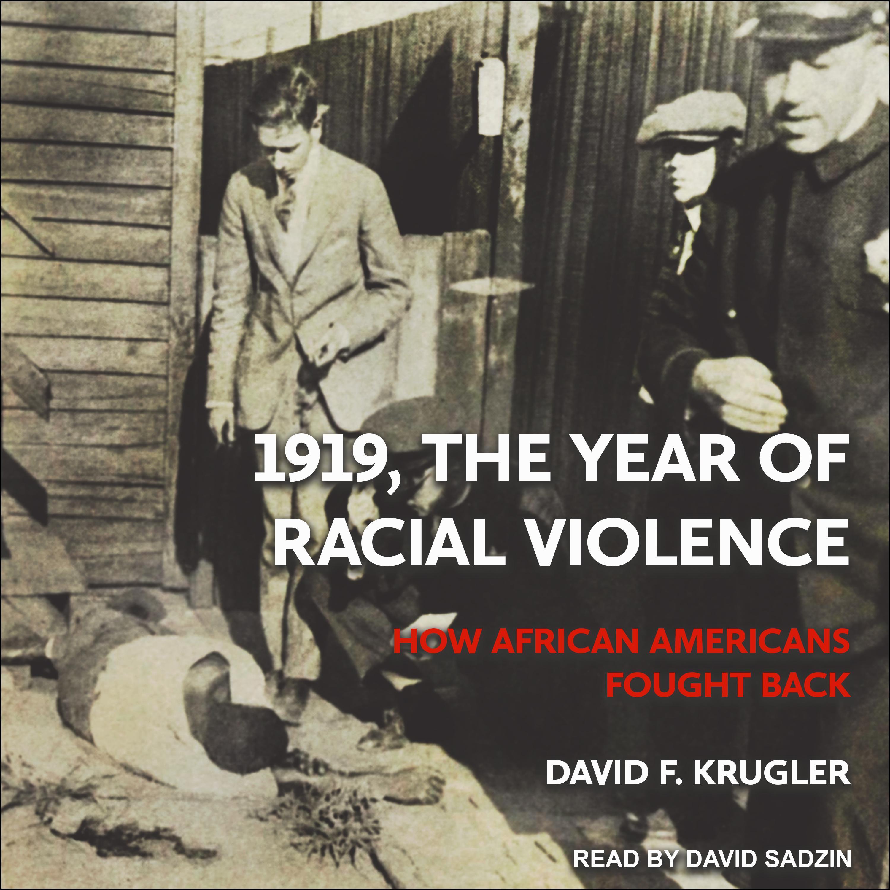 1919, The Year of Racial Violence