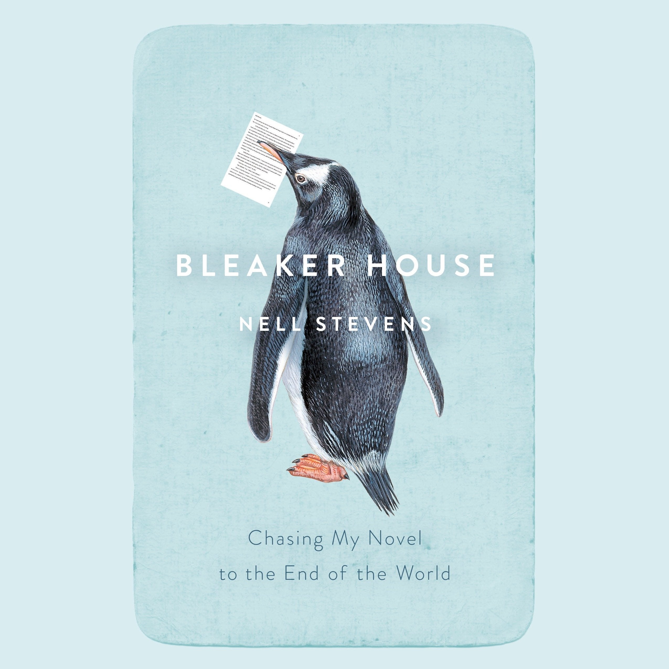 Bleaker House