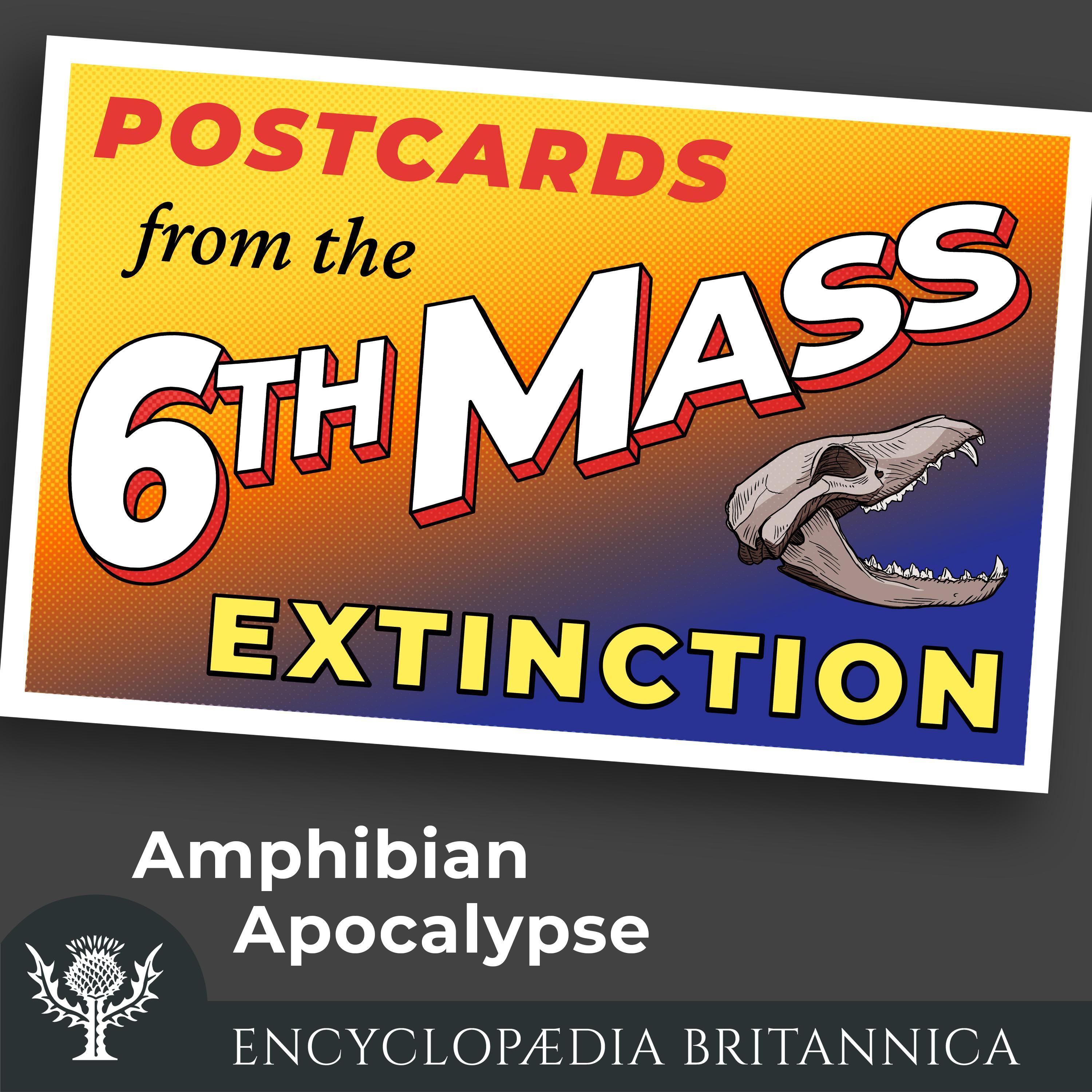 Amphibian Apocalypse