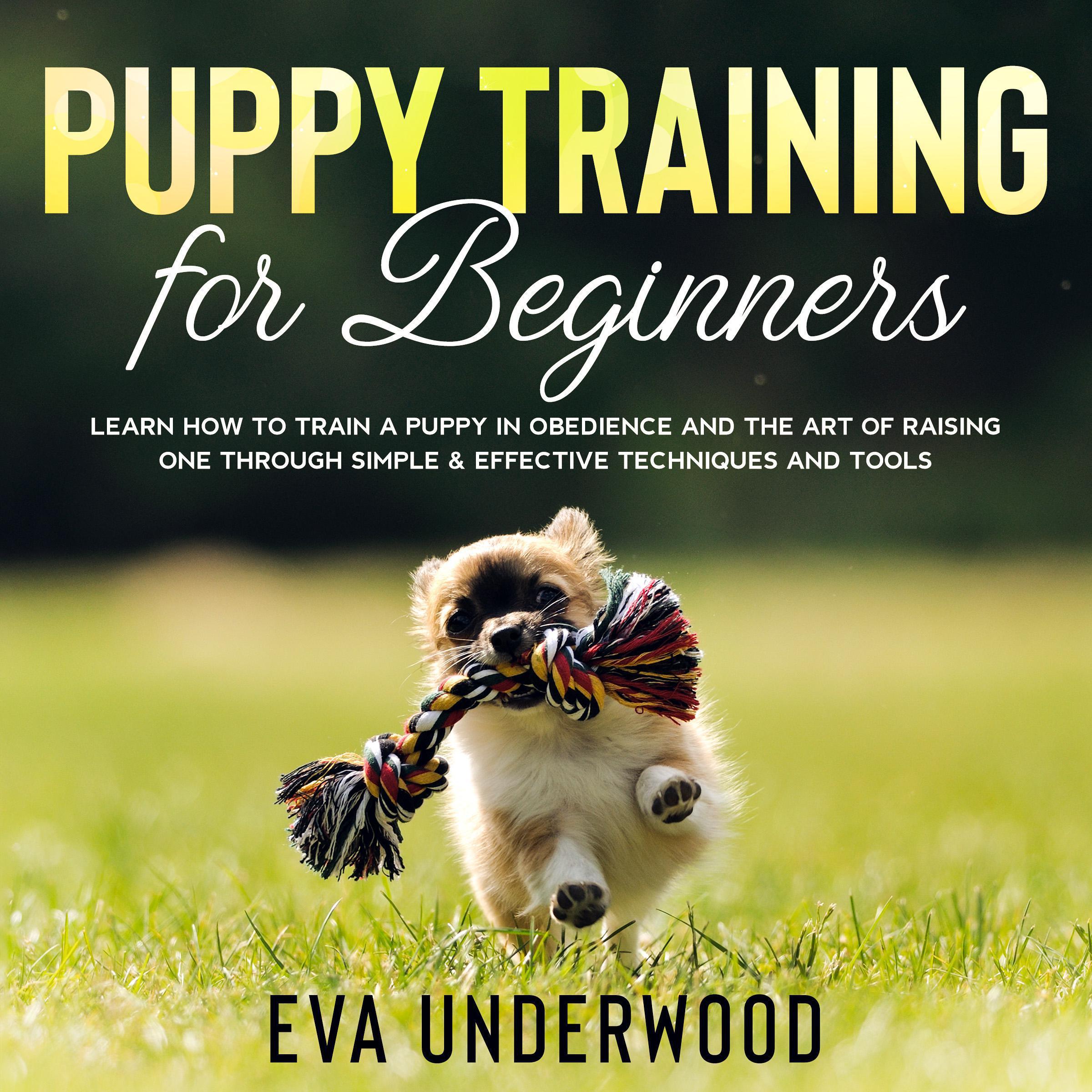 Puppy Training for Beginners