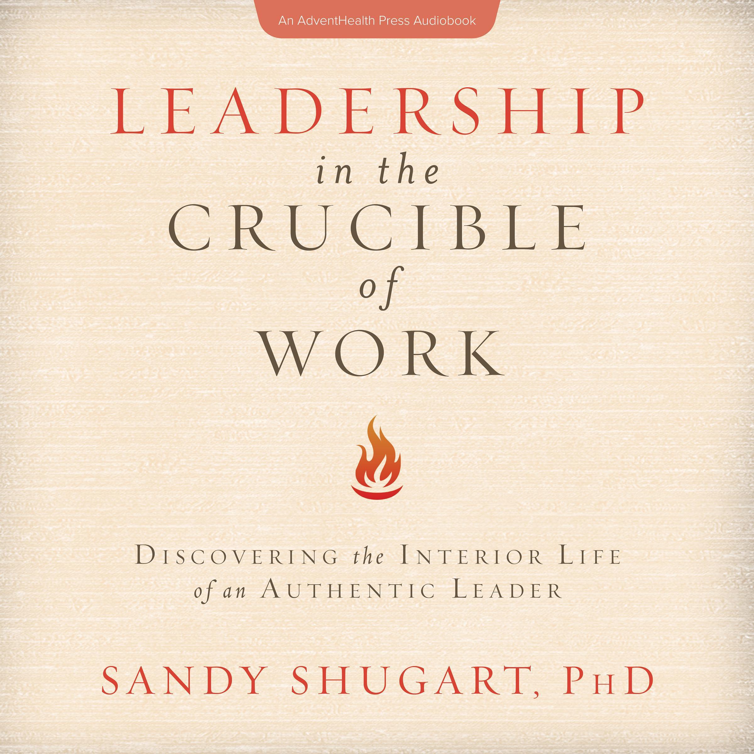 Leadership in the Crucible of Work