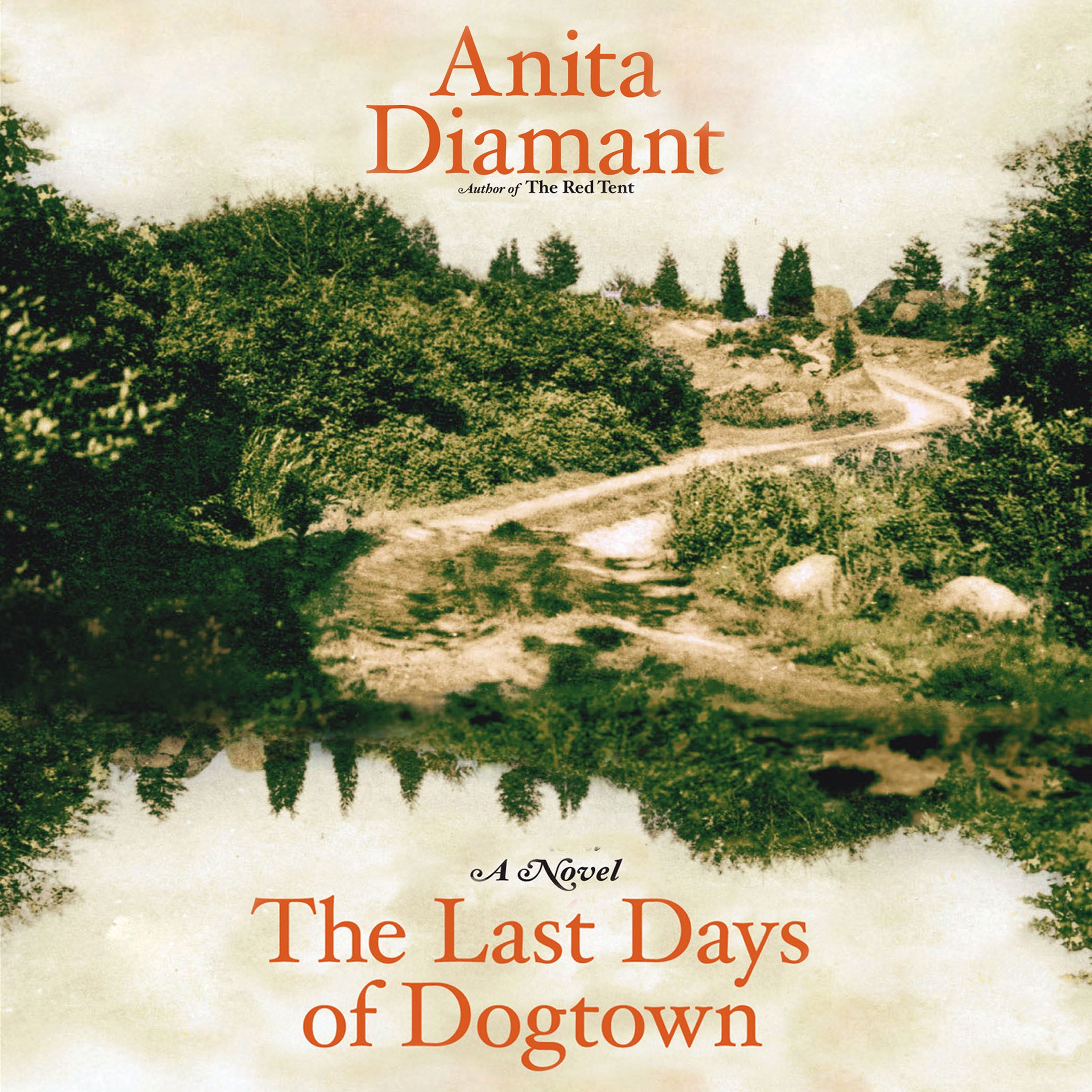 The Last Days of Dogtown