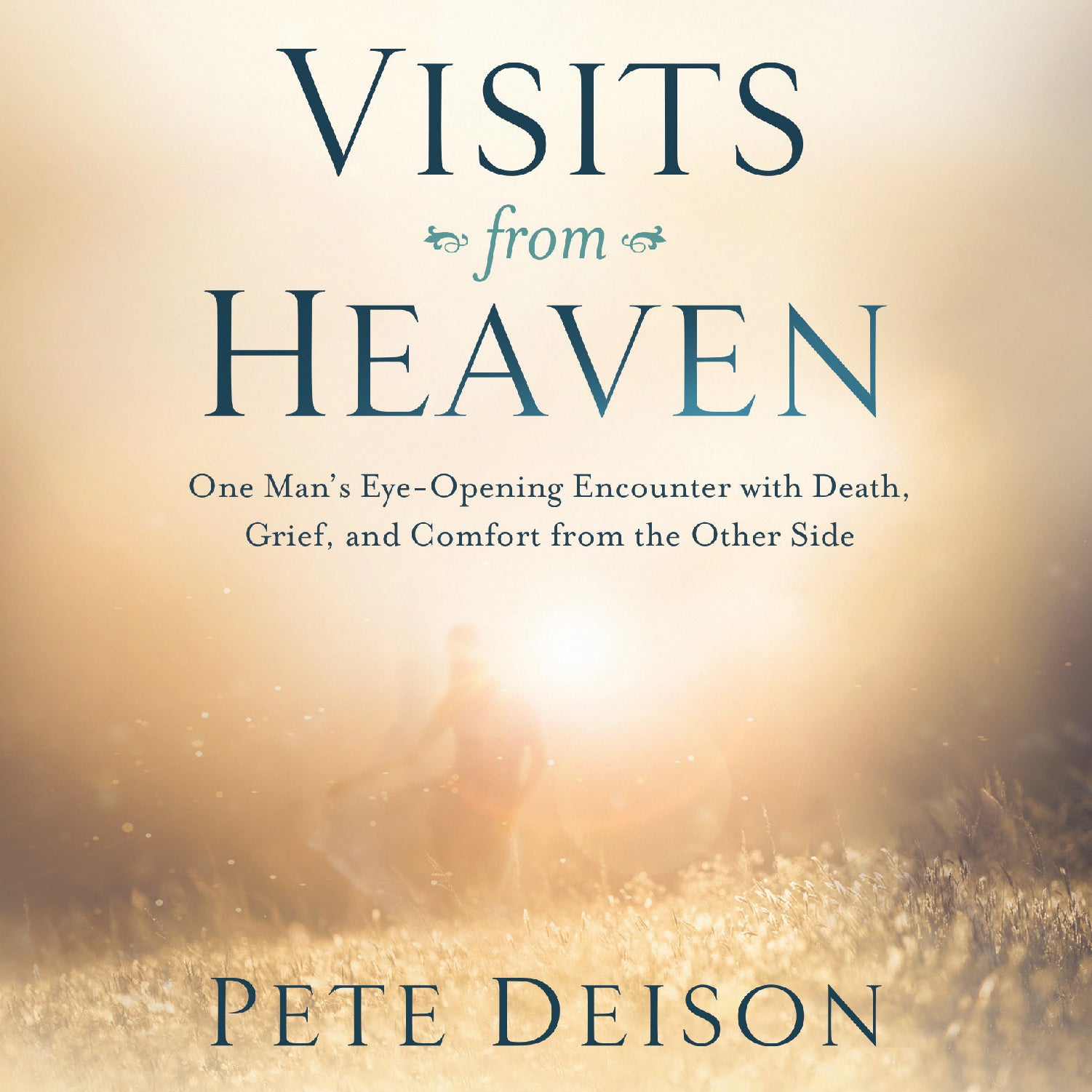 Visits From Heaven