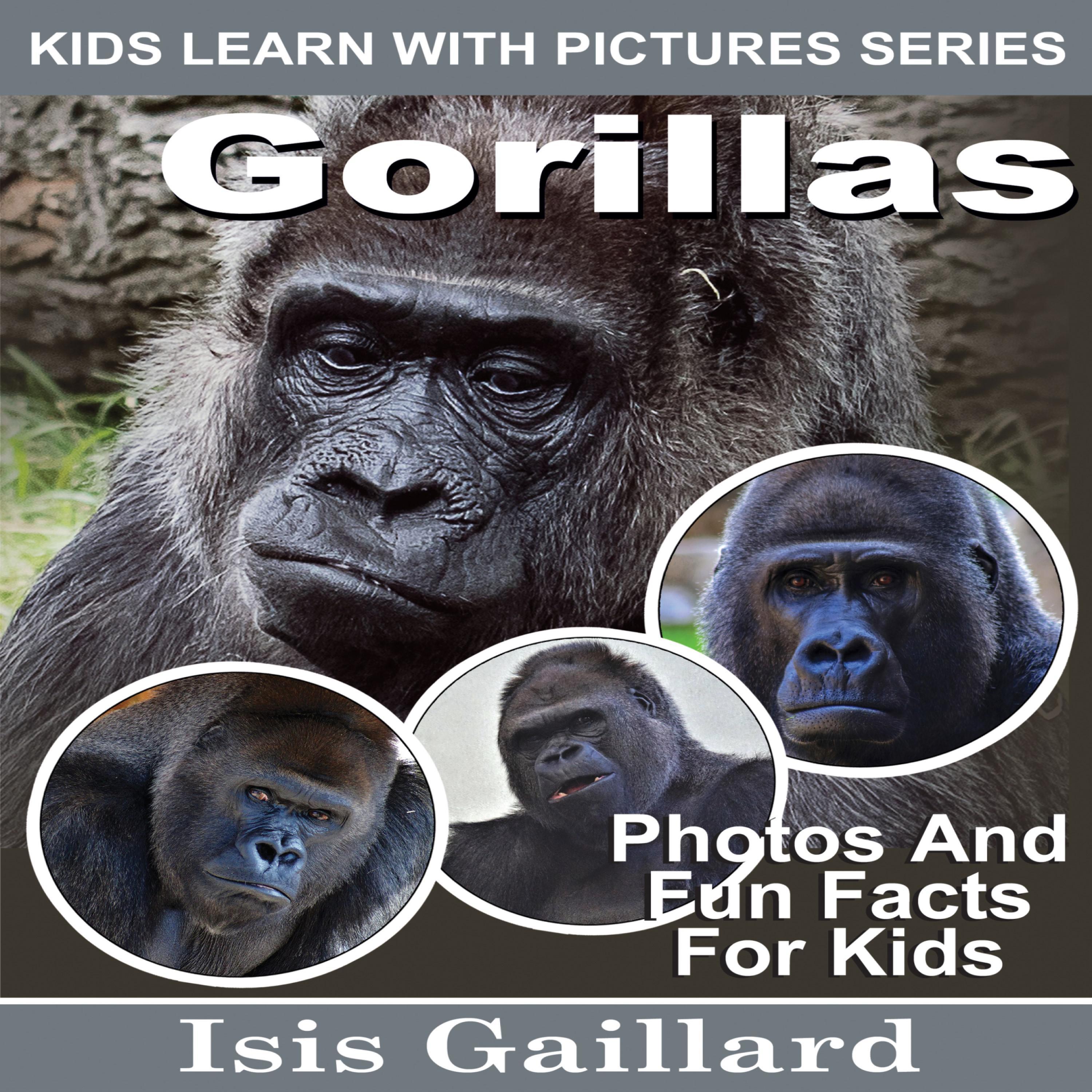 Gorillas