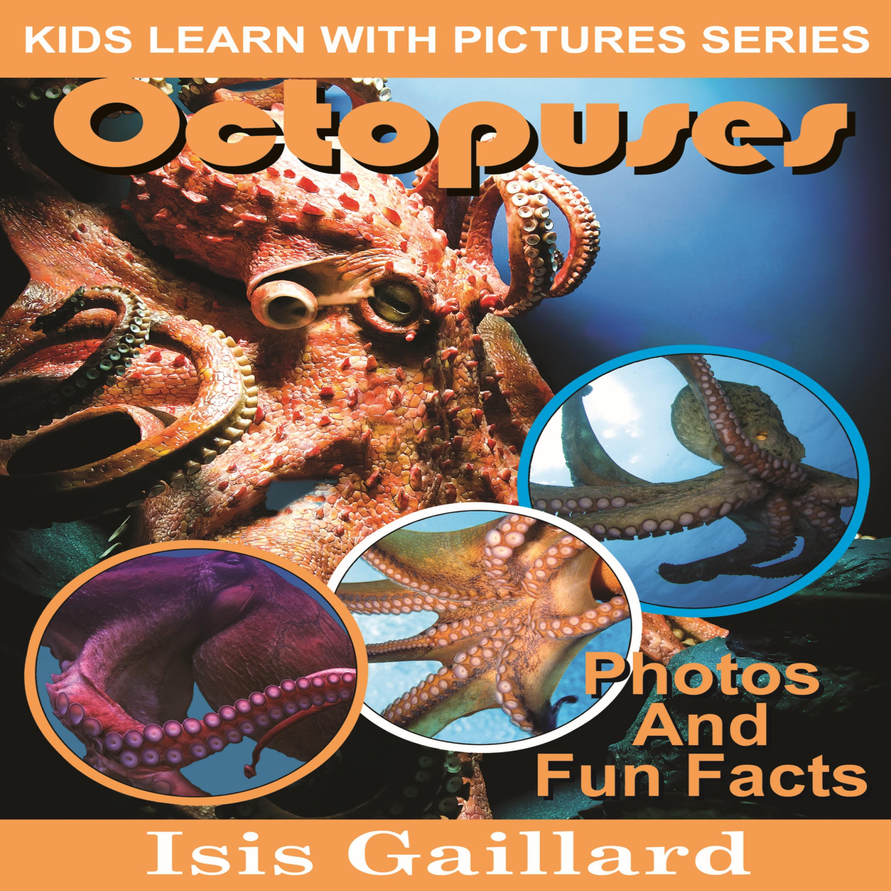 Octopuses