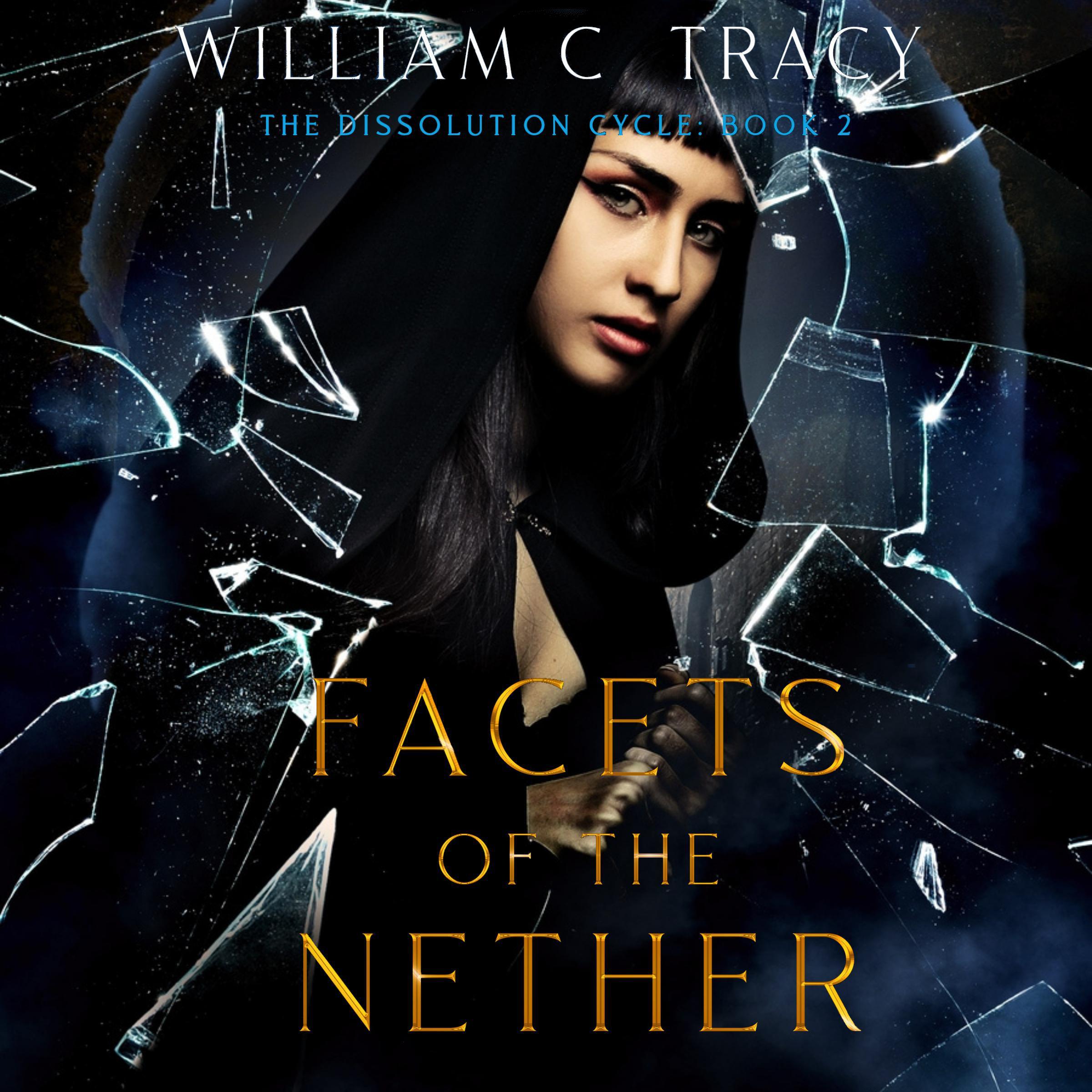 Facets of the Nether