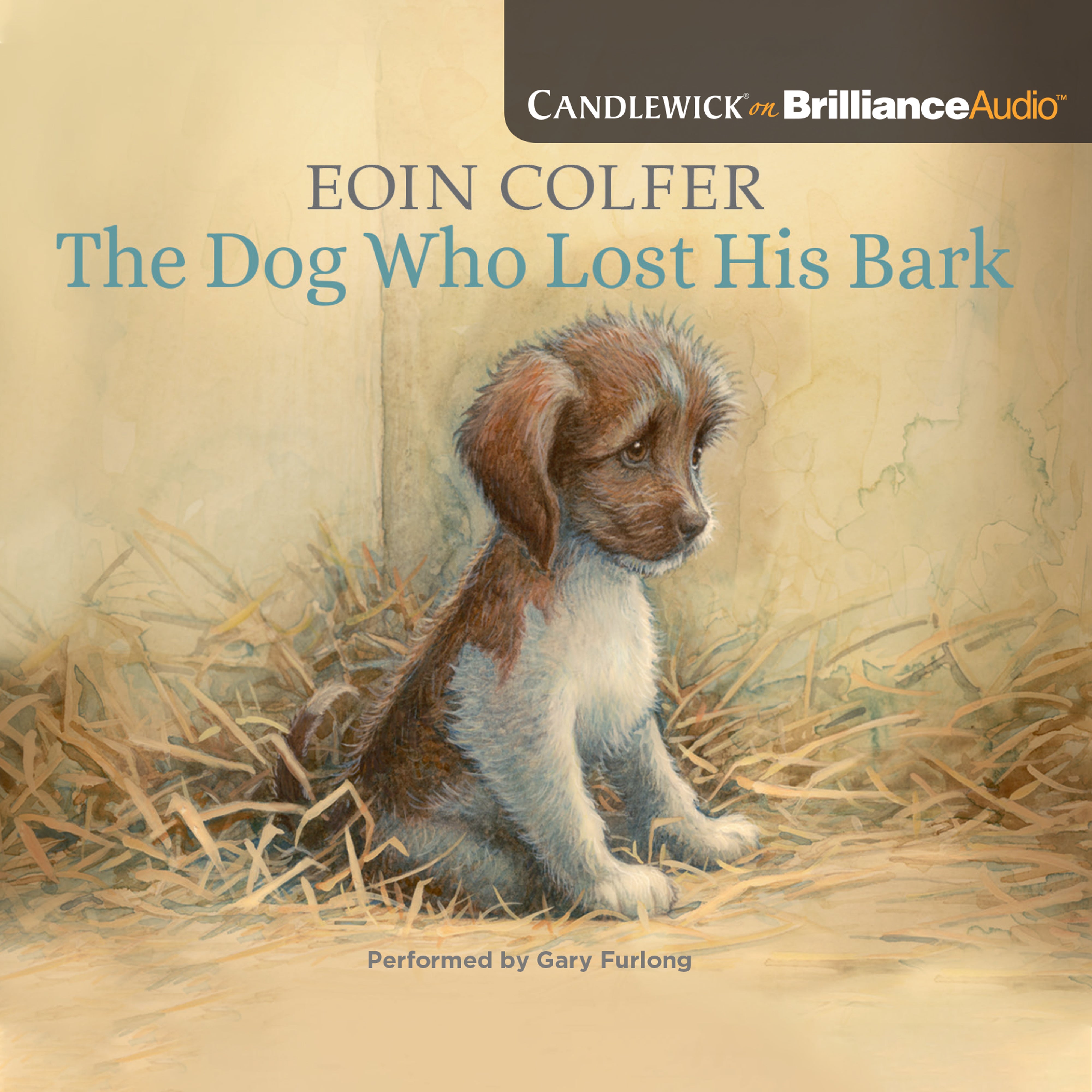 The Dog Who Lost His Bark