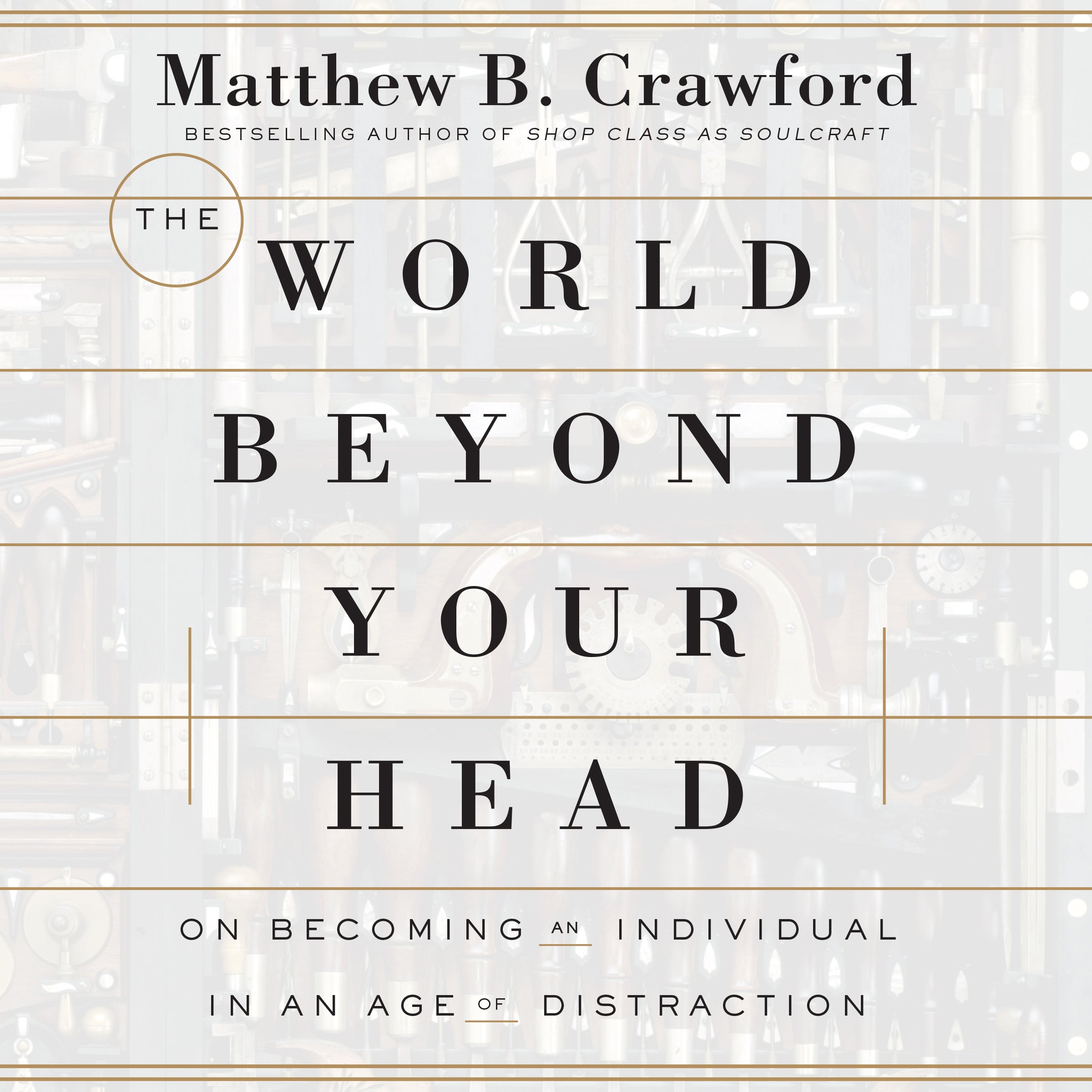 The World Beyond Your Head