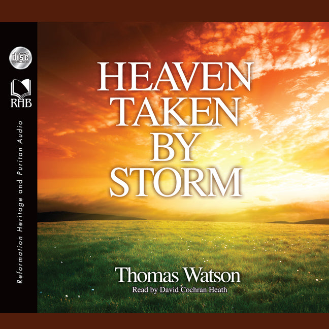 Heaven Taken By Storm