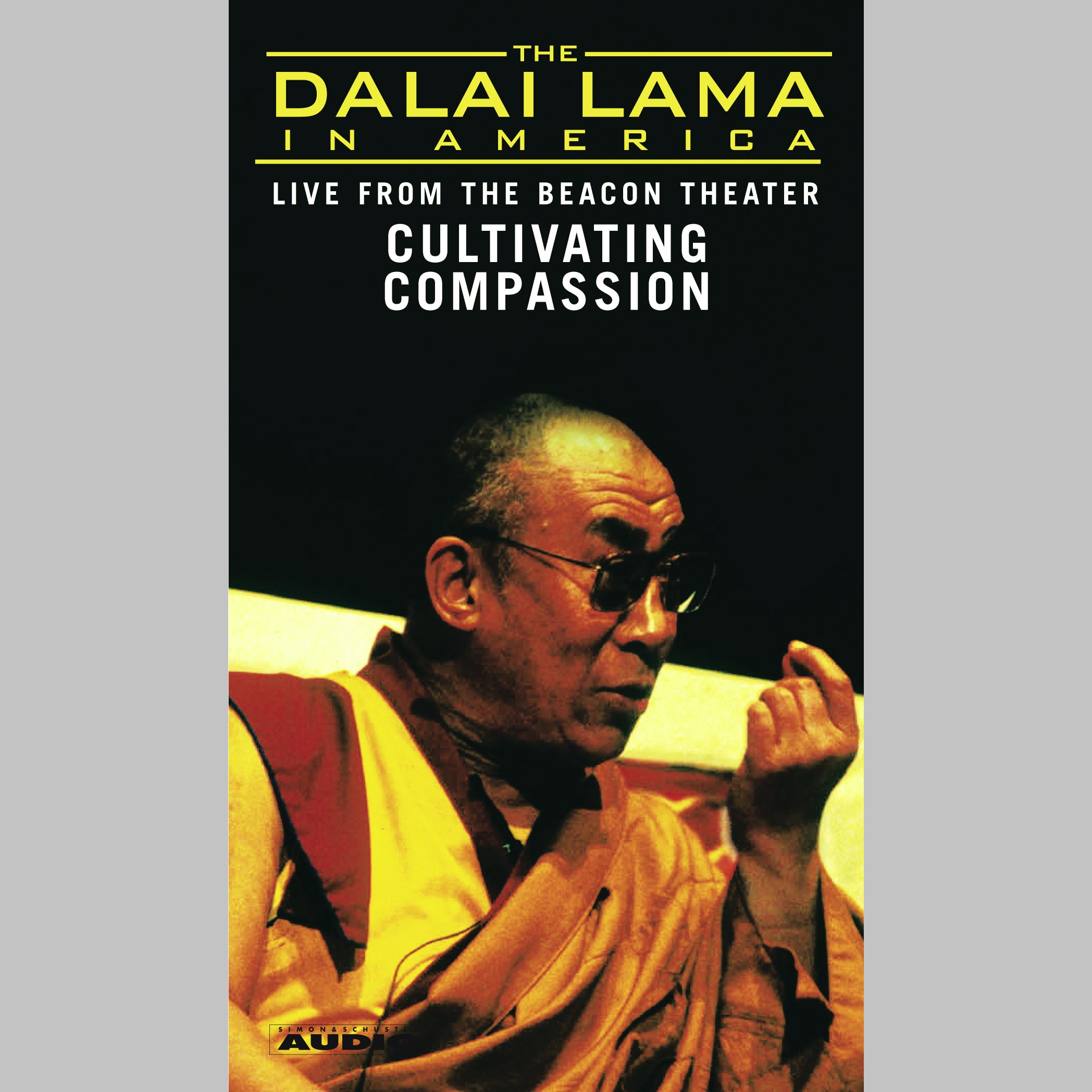 The Dalai Lama in America