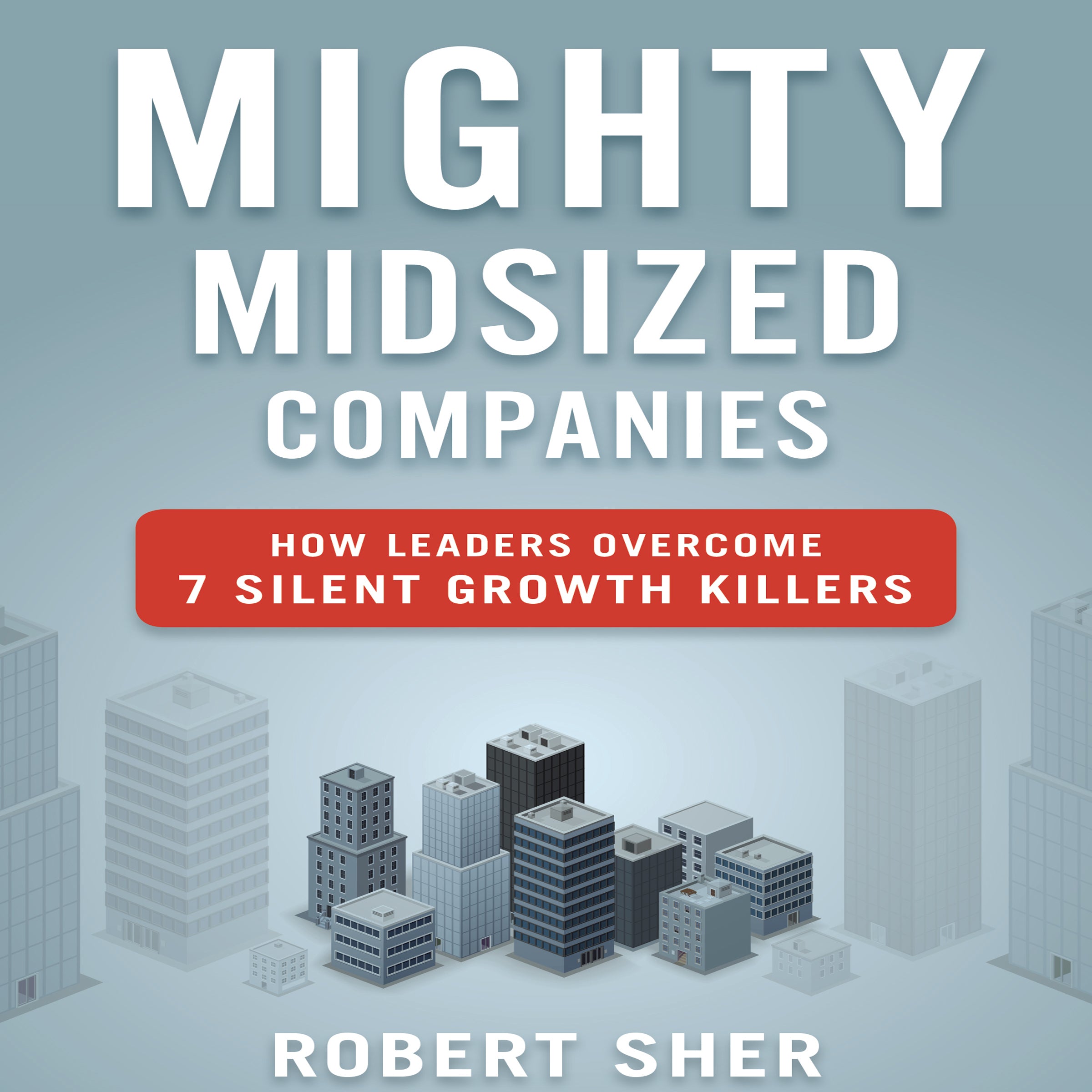 Mighty Midsized Companies