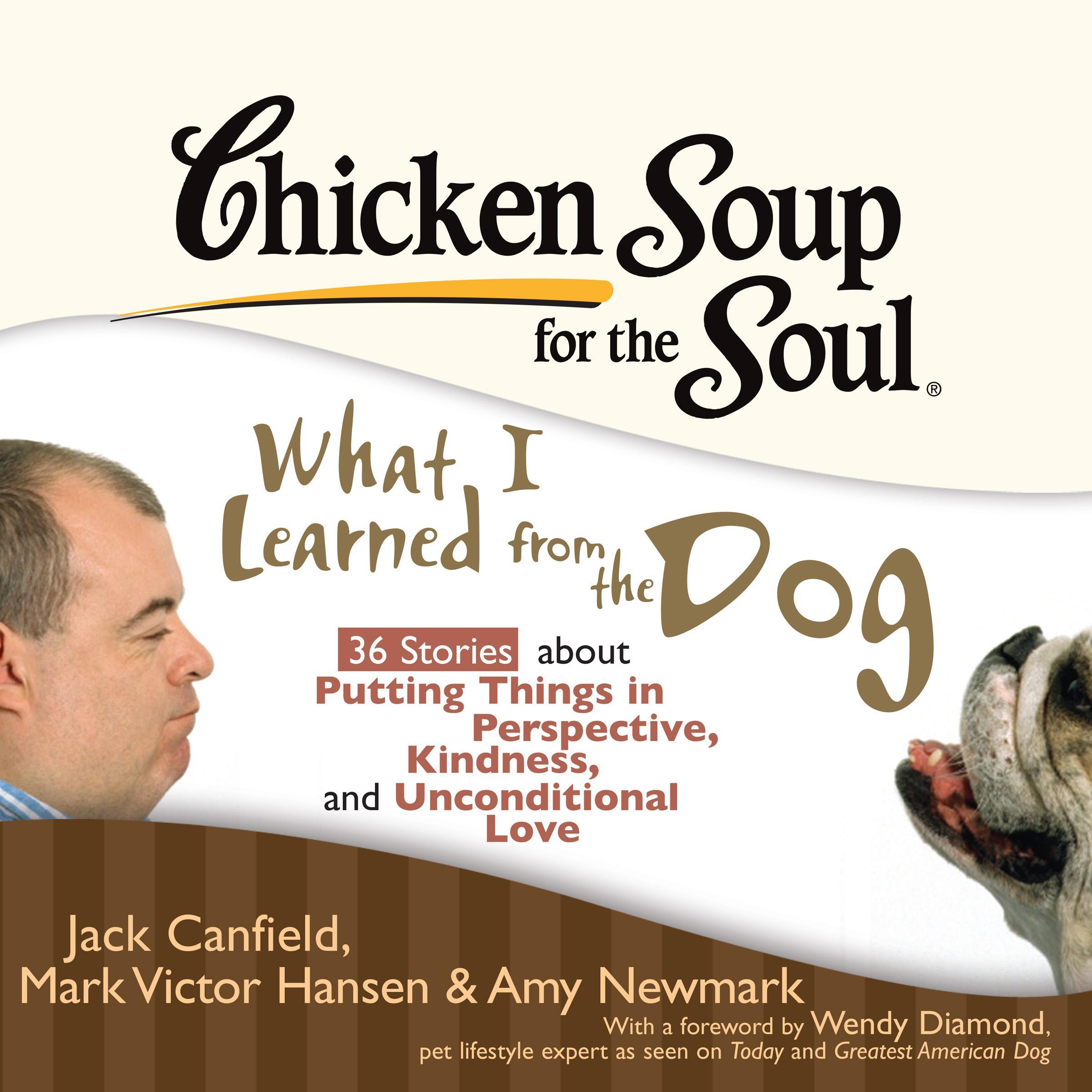 Chicken Soup for the Soul: What I Learned from the Dog - 36 Stories about Putting Things in Perspective, Kindness, and Unconditi