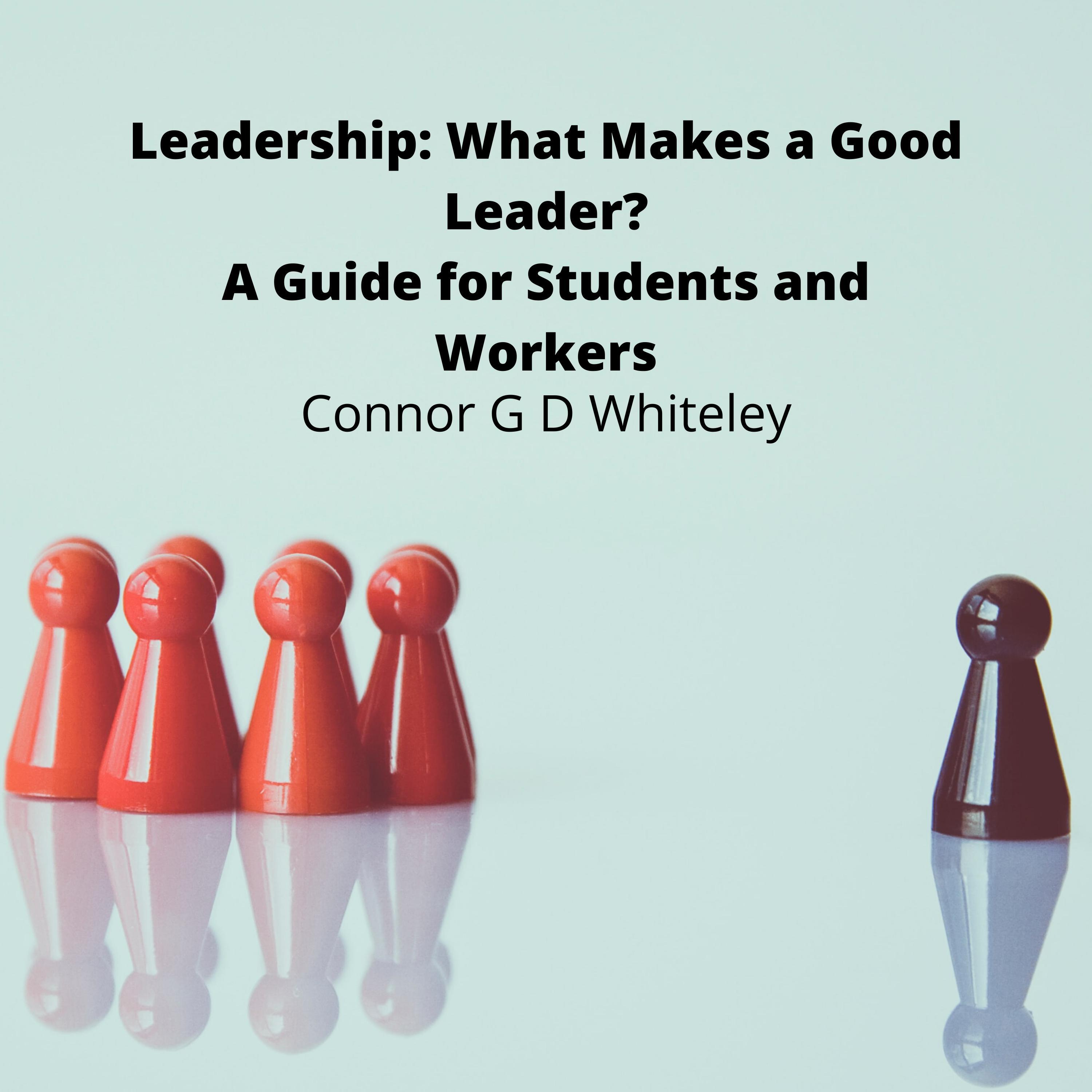 Leadership: What Makes a Good Leader?