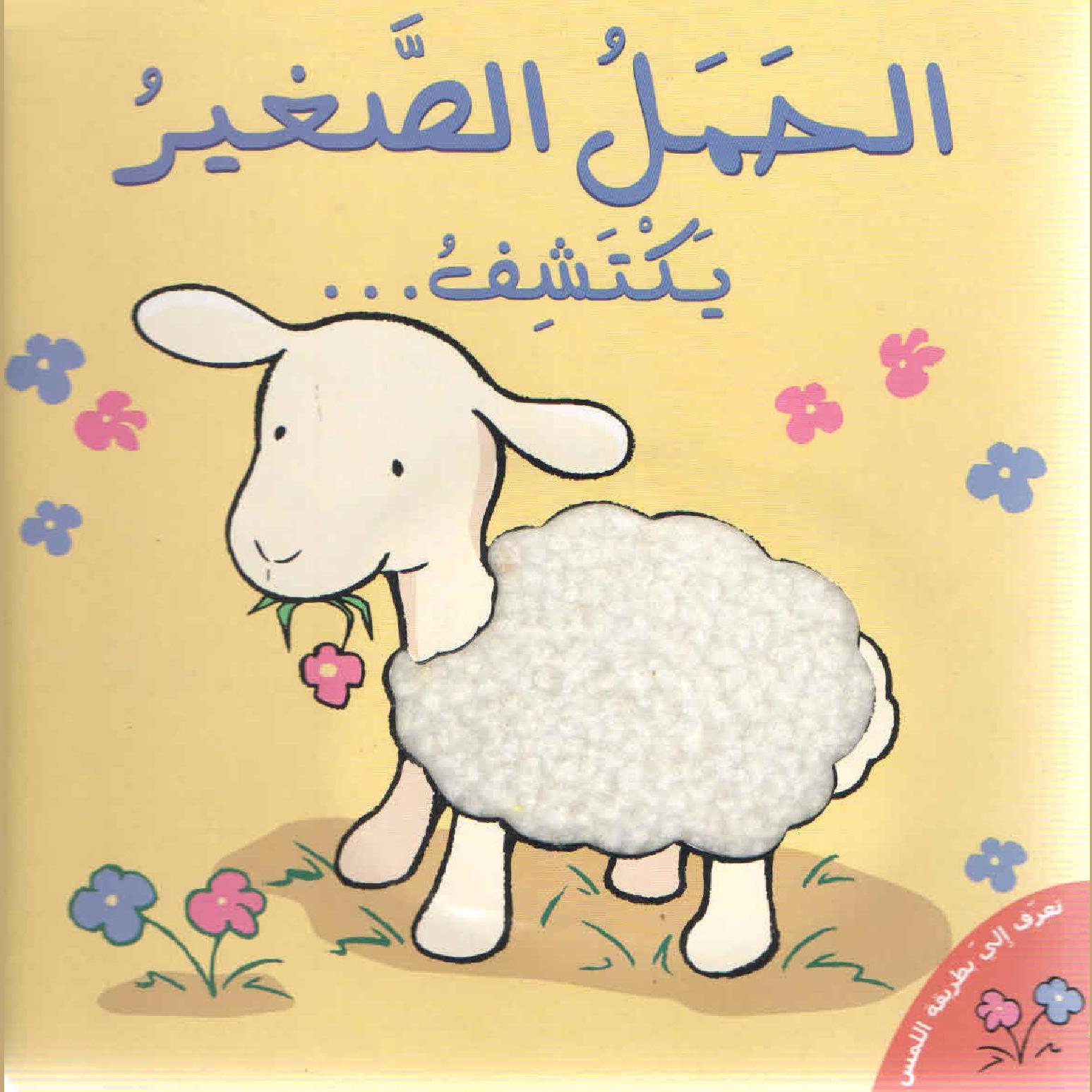الحمل الصغير يكتشف