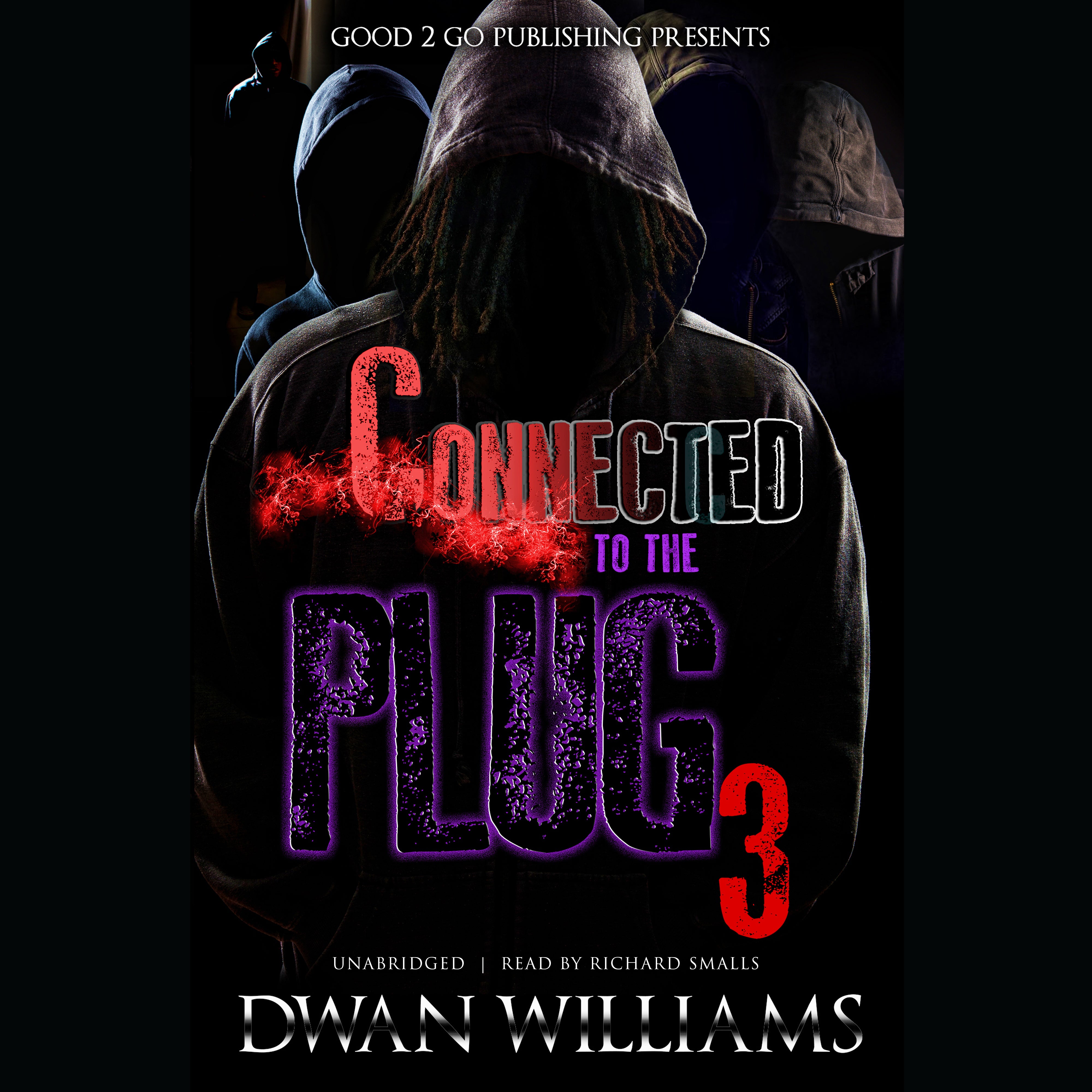 Connected to the Plug 3